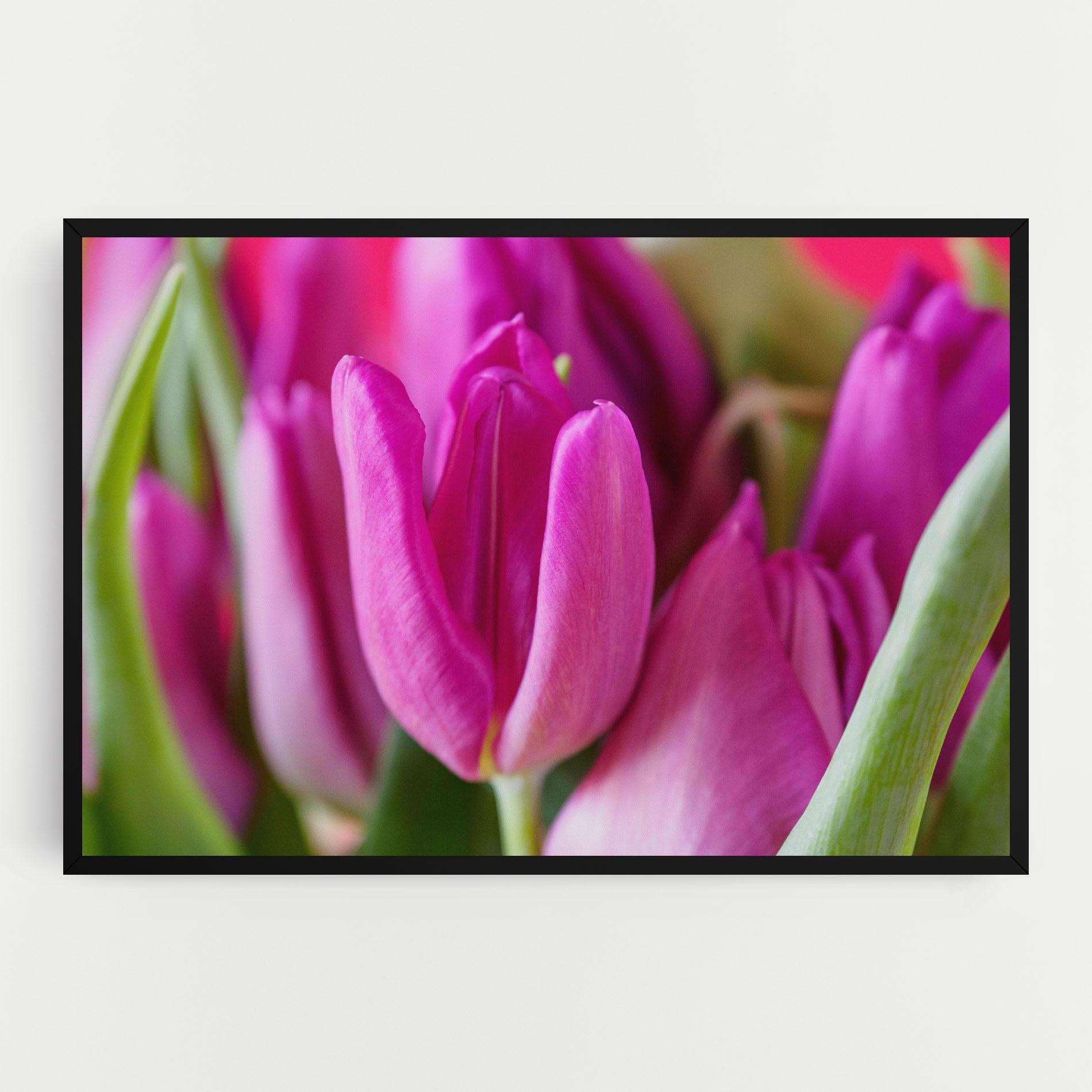 Obraz na Płótnie Purple Tulip Close Up mockup 0