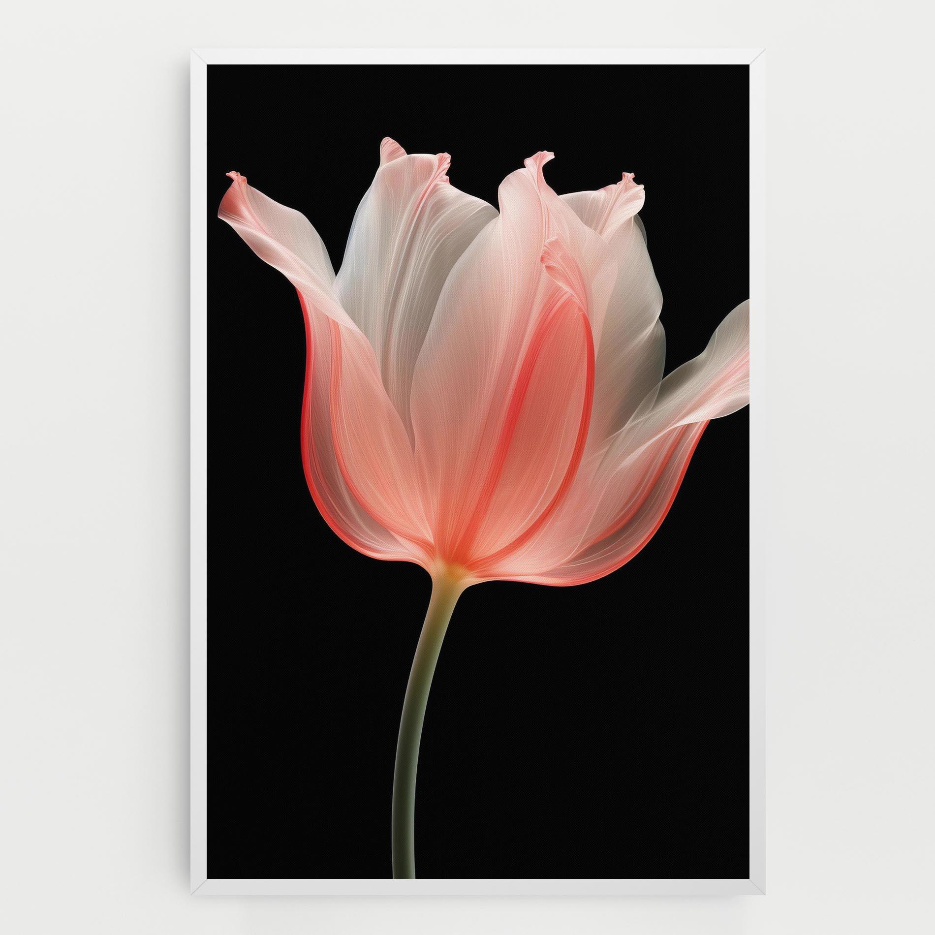 Obraz na Płótnie Pastel Pink Tulip mockup 0