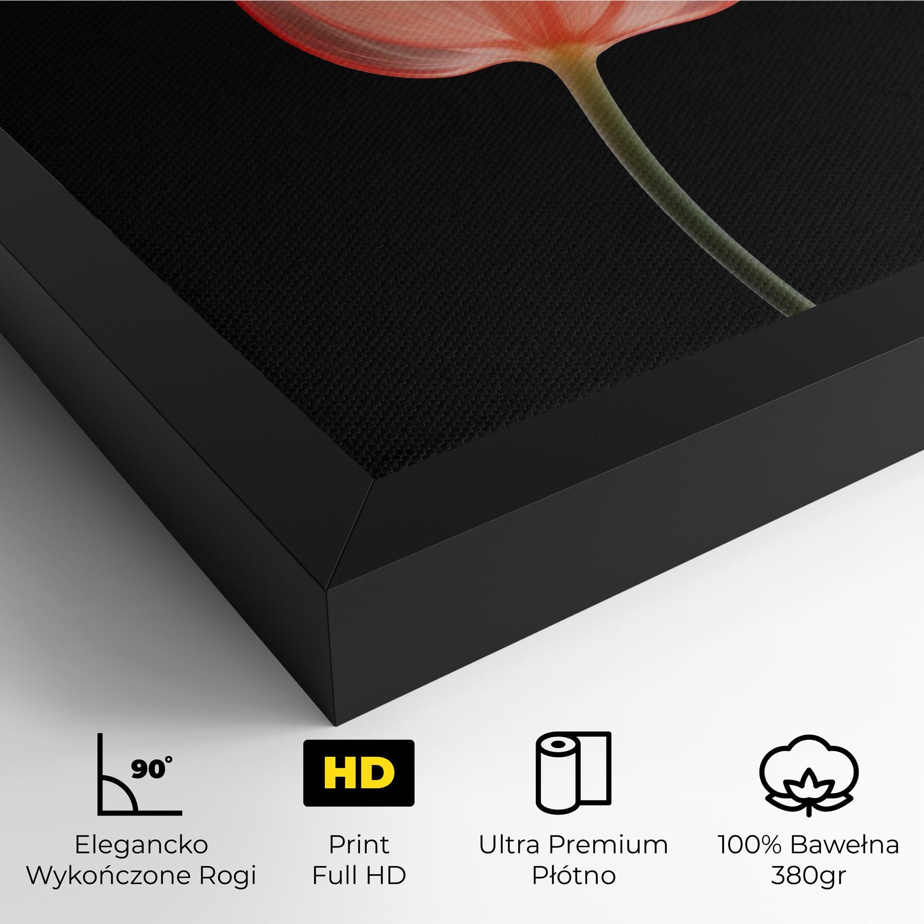 Obraz na Płótnie Pastel Pink Tulip mockup 4