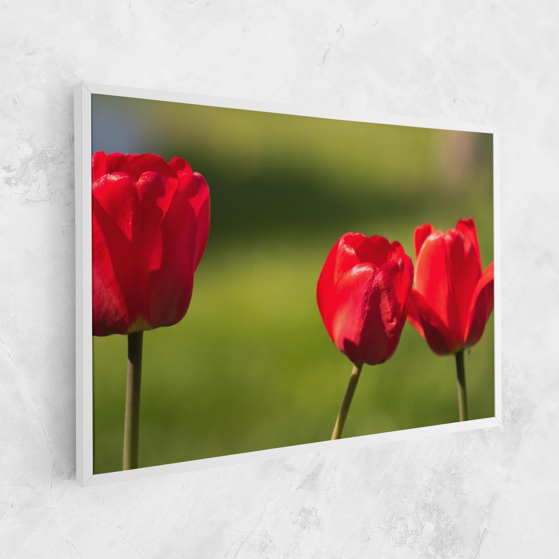 Obraz na Płótnie 3 Red Tulips mockup 1