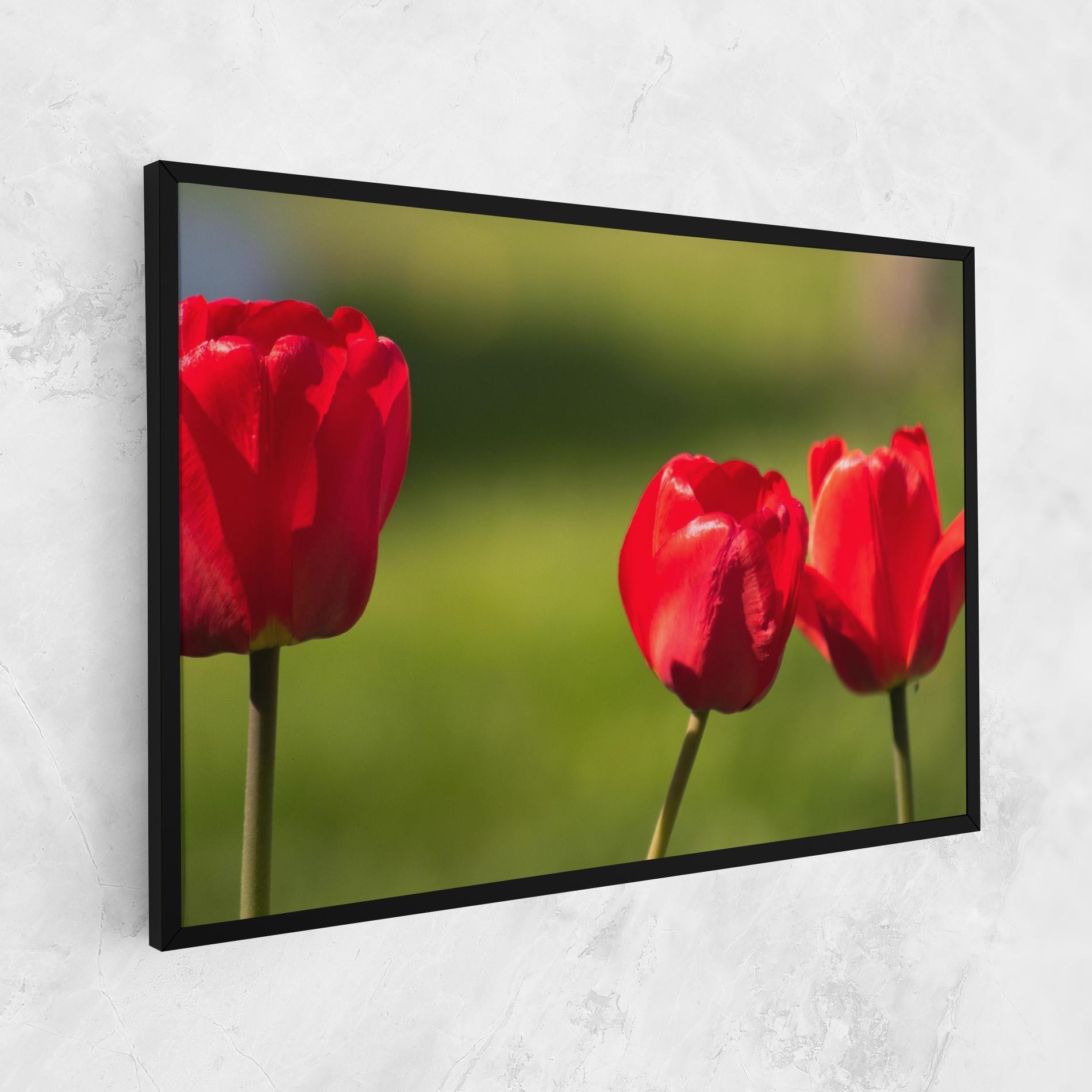 Obraz na Płótnie 3 Red Tulips mockup 1