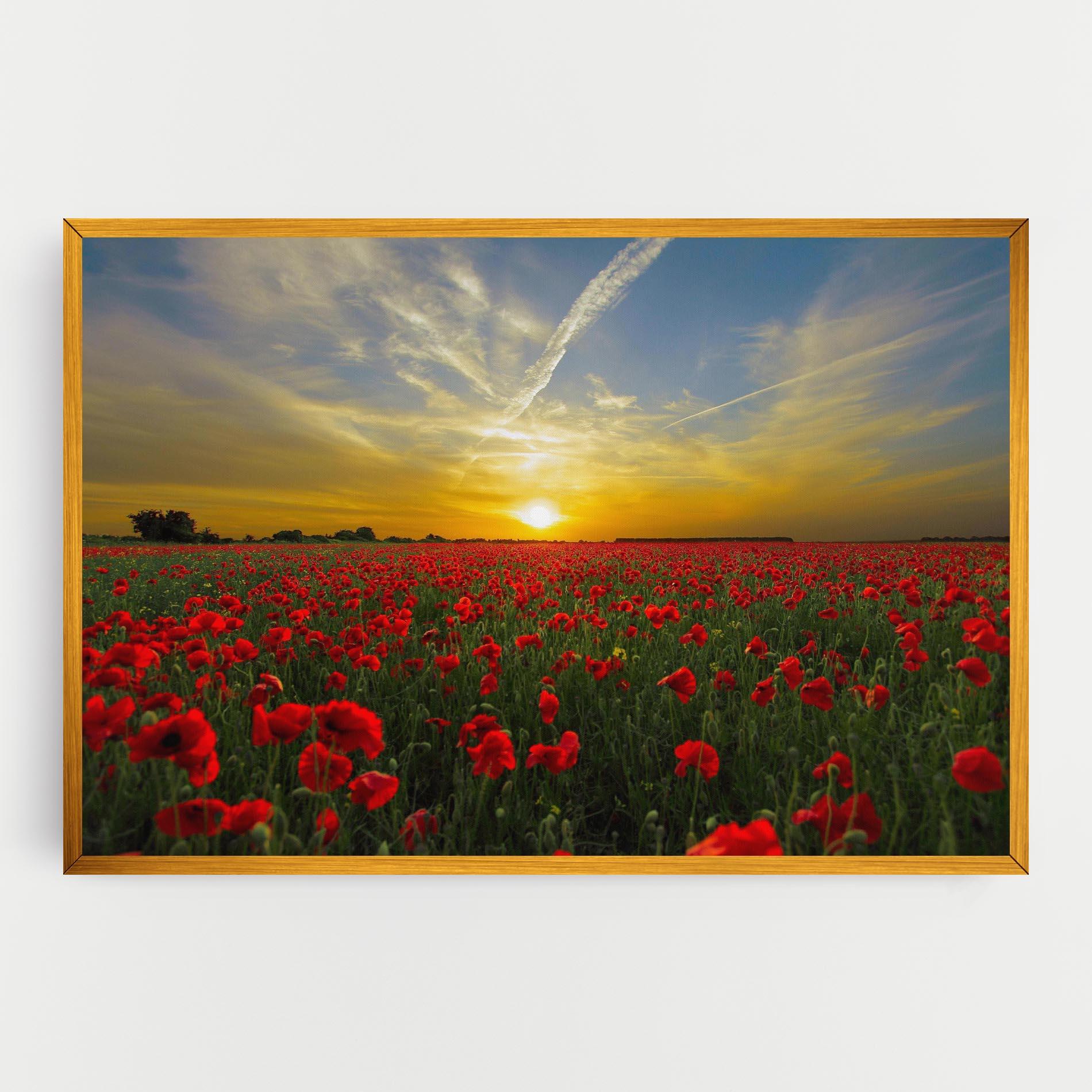 Obraz na Płótnie Poppies Sunset mockup 0