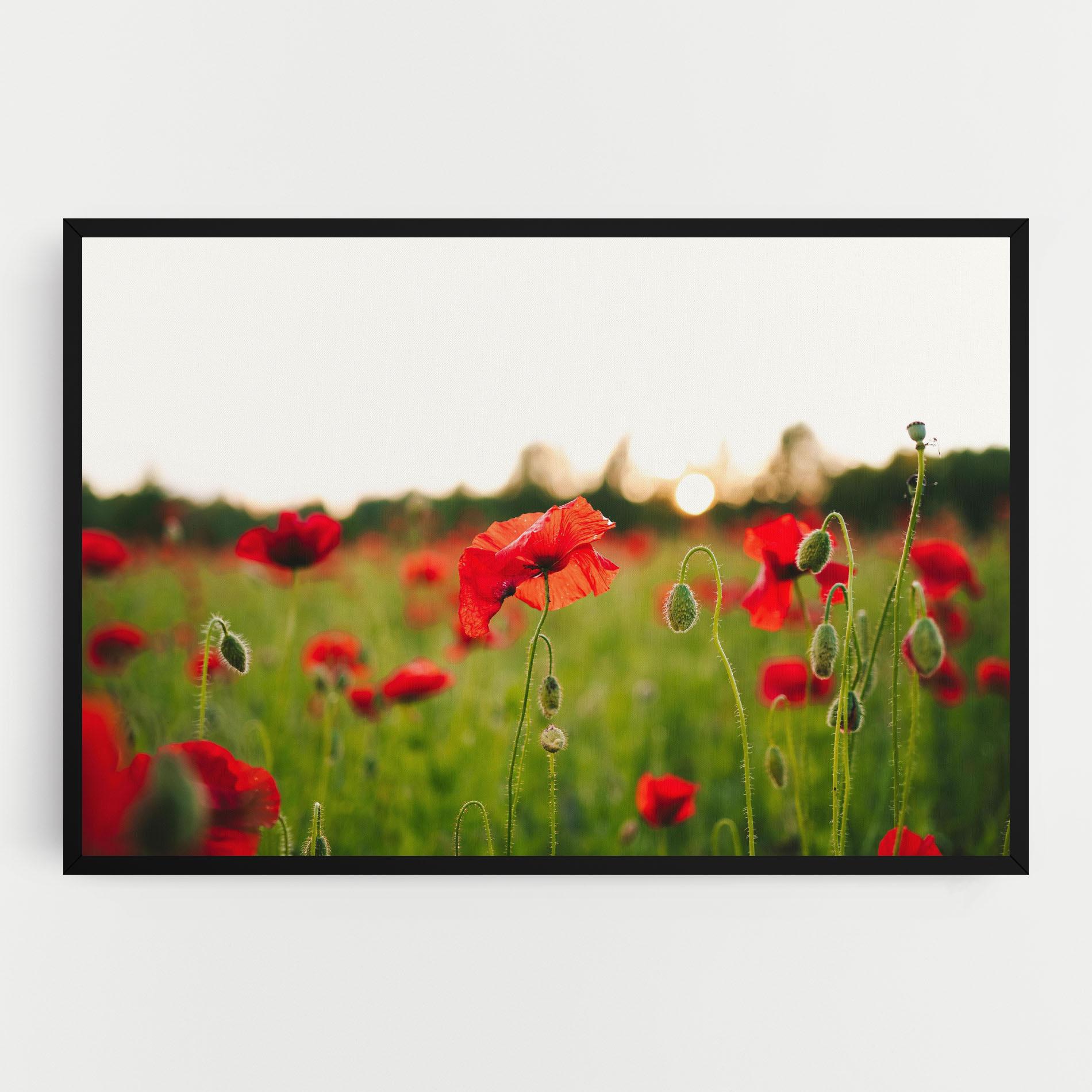 Obraz na Płótnie Poppies Field mockup 0