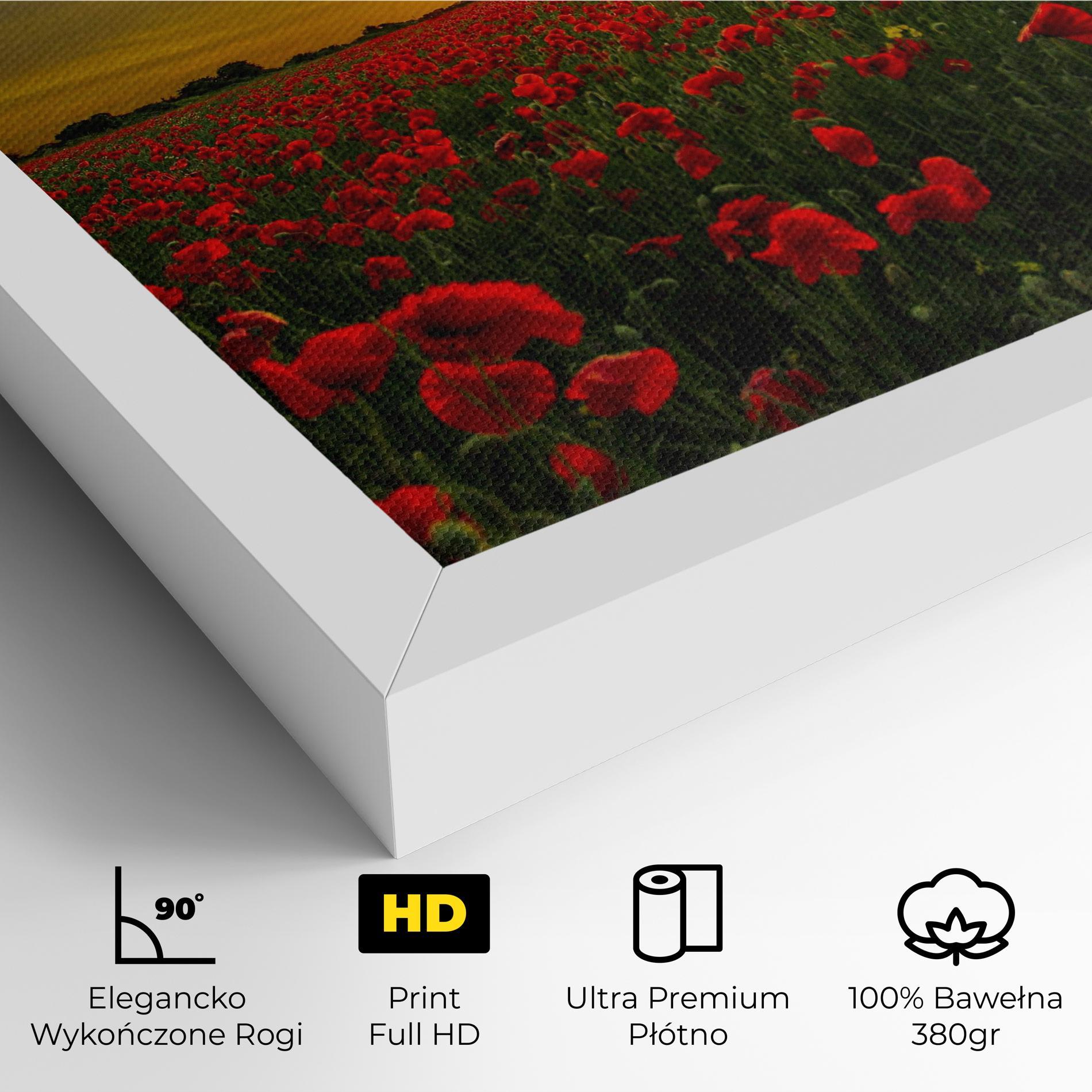 Obraz na Płótnie Poppies Sunset mockup 4