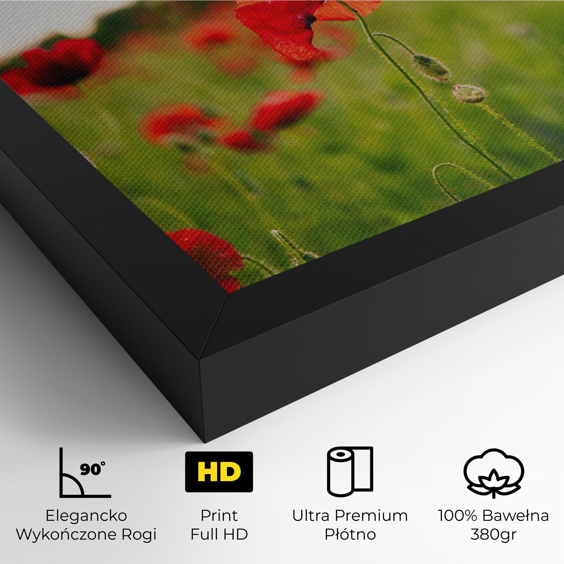 Obraz na Płótnie Poppies Field mockup 4