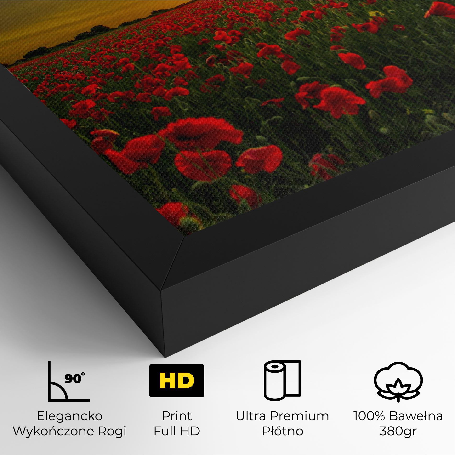 Obraz na Płótnie Poppies Sunset mockup 4
