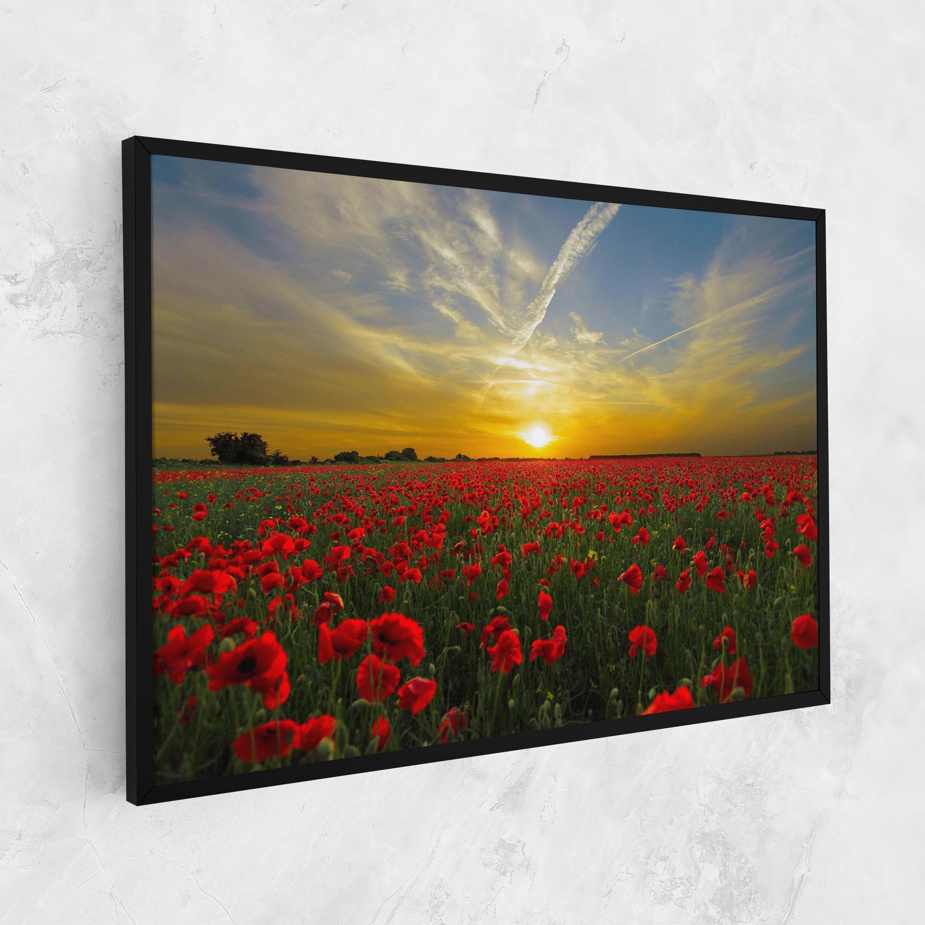 Obraz na Płótnie Poppies Sunset mockup 1