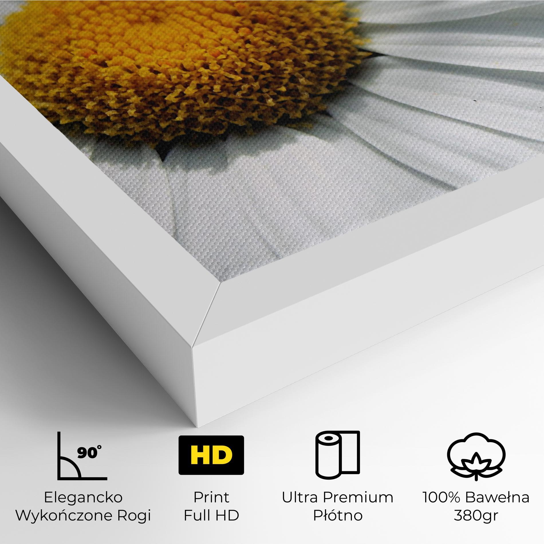 Obraz na Płótnie Big Daisies mockup 4