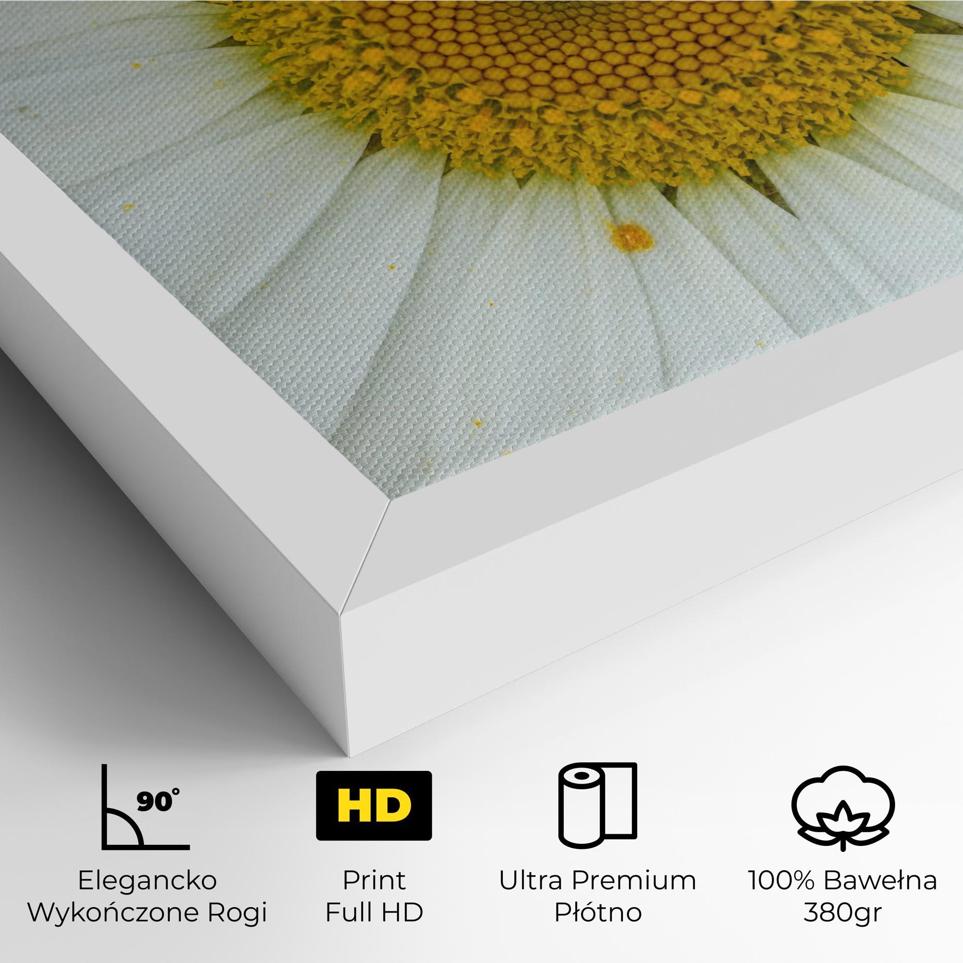 Obraz na Płótnie Daisy Close Up mockup 4