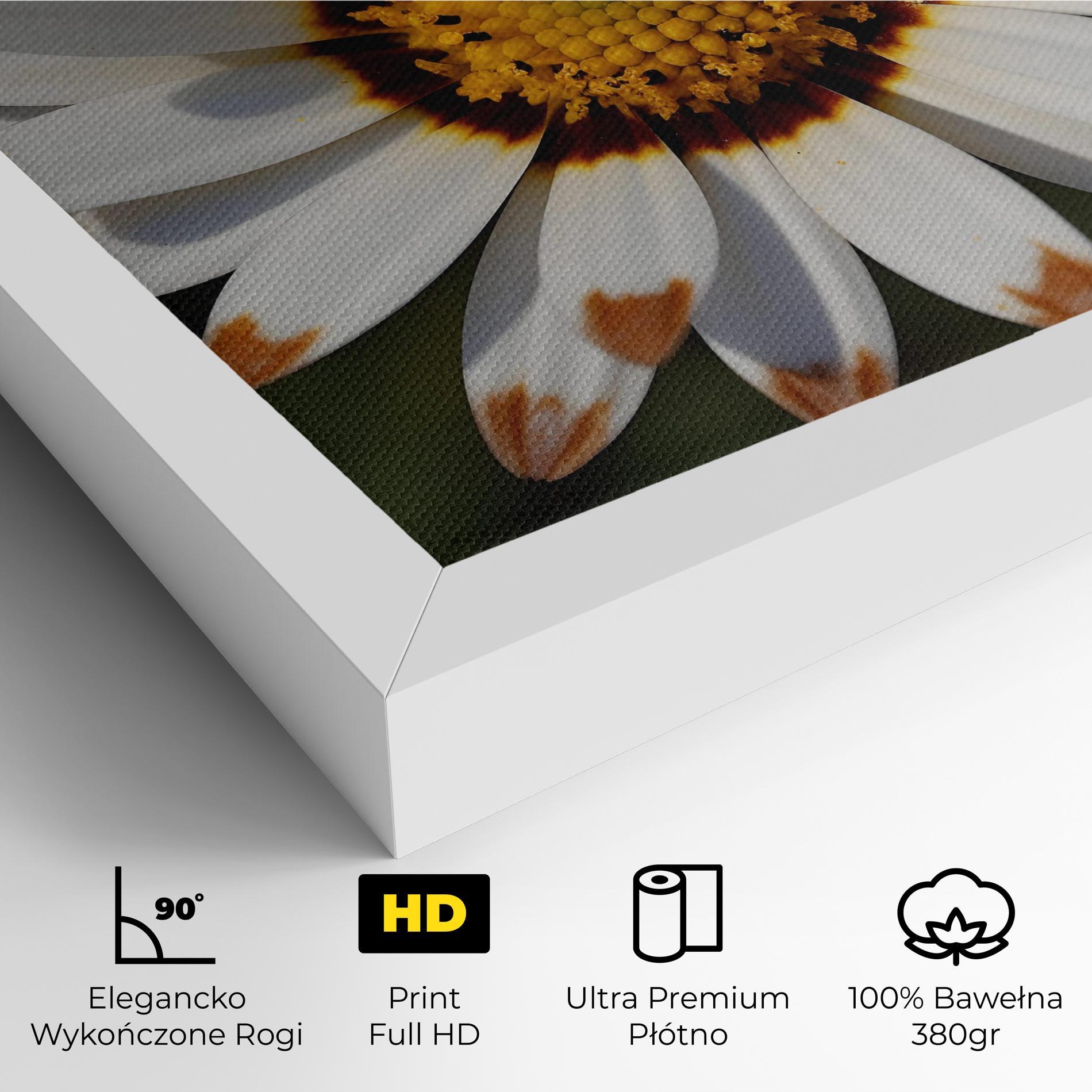 Obraz na Płótnie White Brown Daisy mockup 4