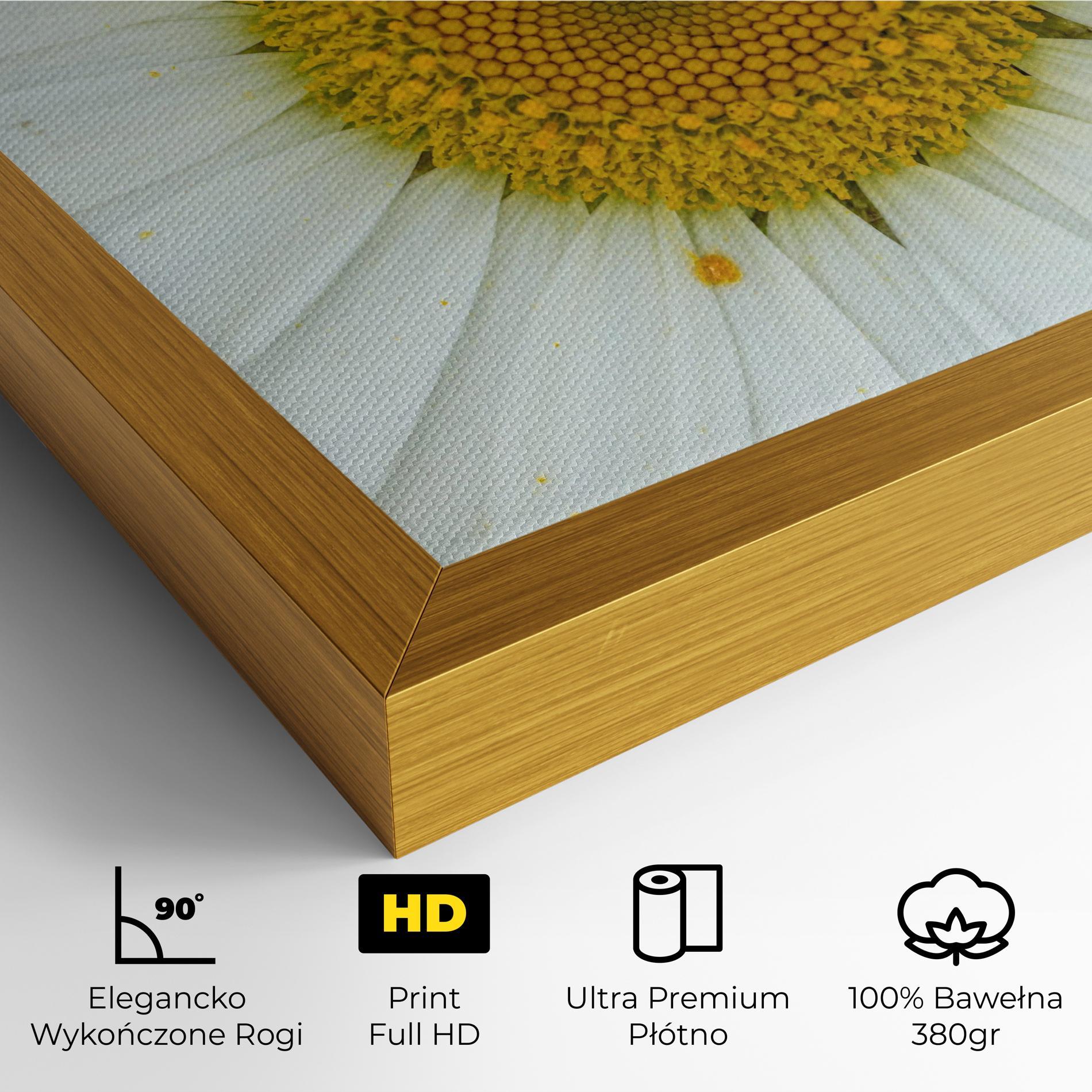 Obraz na Płótnie Daisy Close Up mockup 4