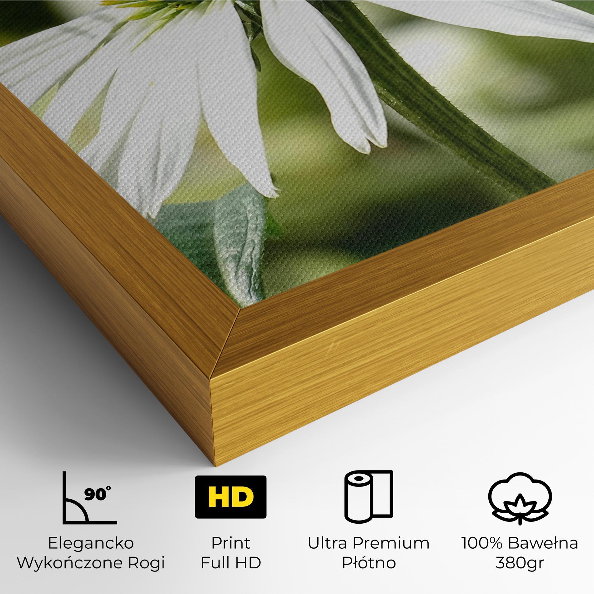 Obraz na Płótnie Green Daisy mockup 4