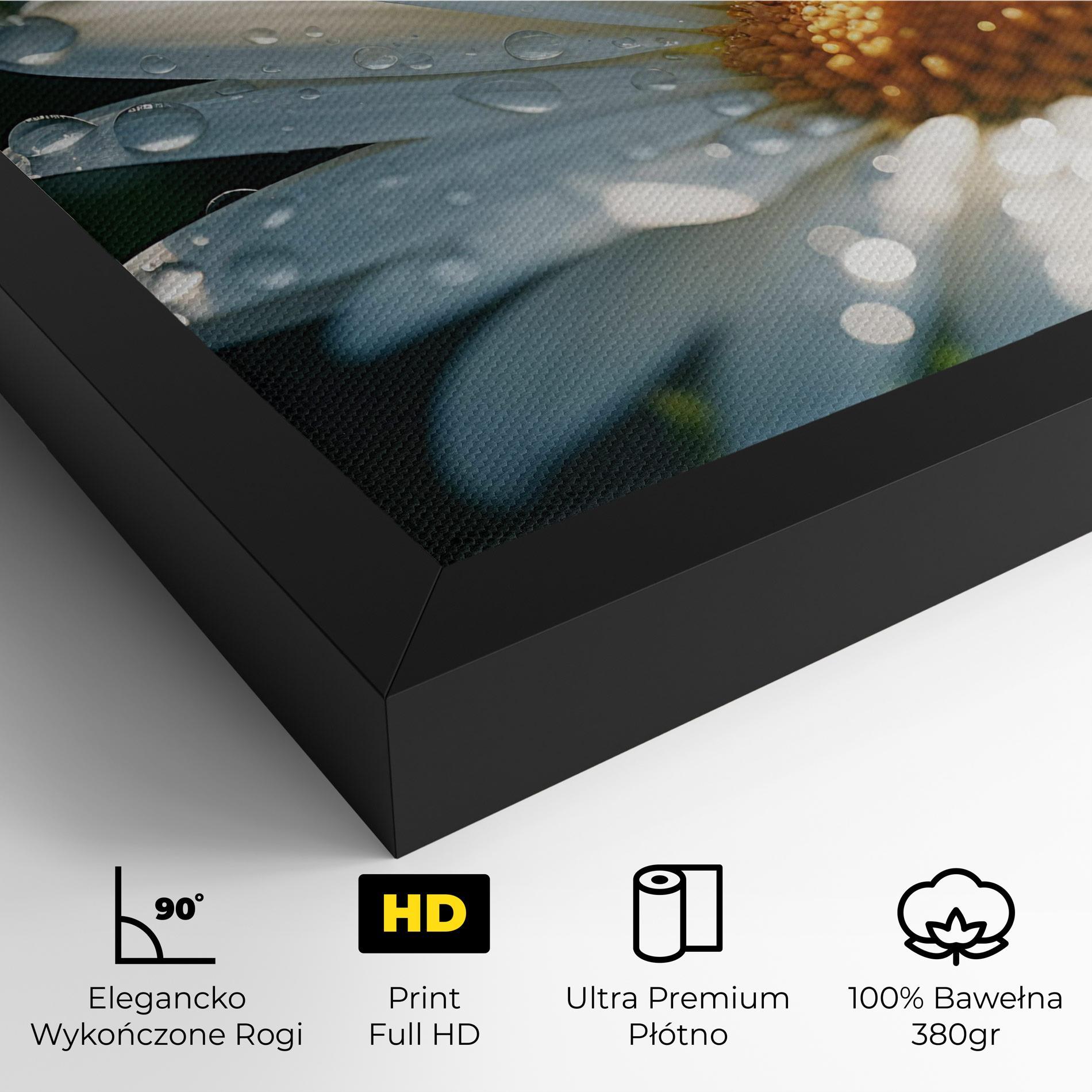 Obraz na Płótnie Daisy After Rain Close Up mockup 4