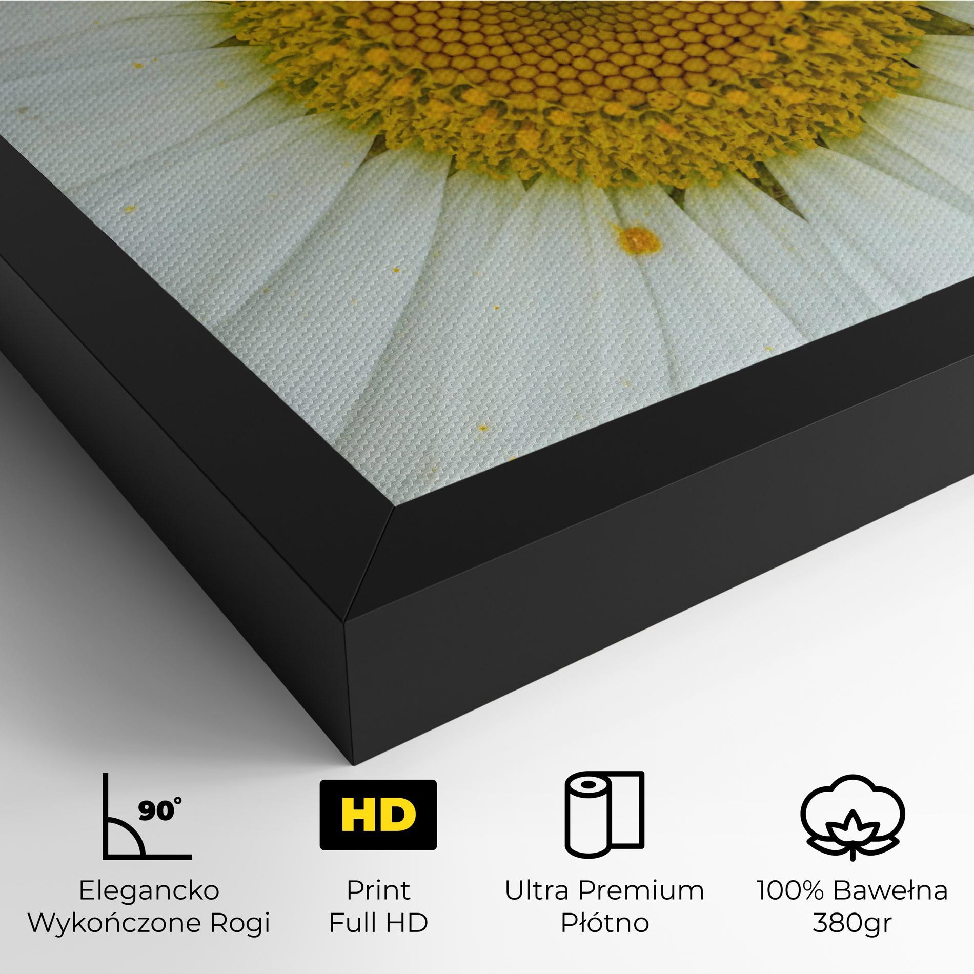 Obraz na Płótnie Daisy Close Up mockup 4