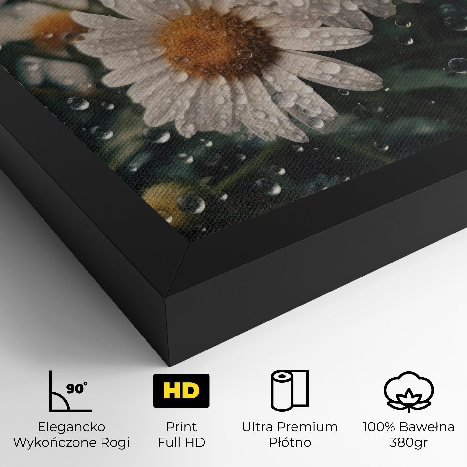 Obraz na Płótnie Daisy View After Rain mockup 4