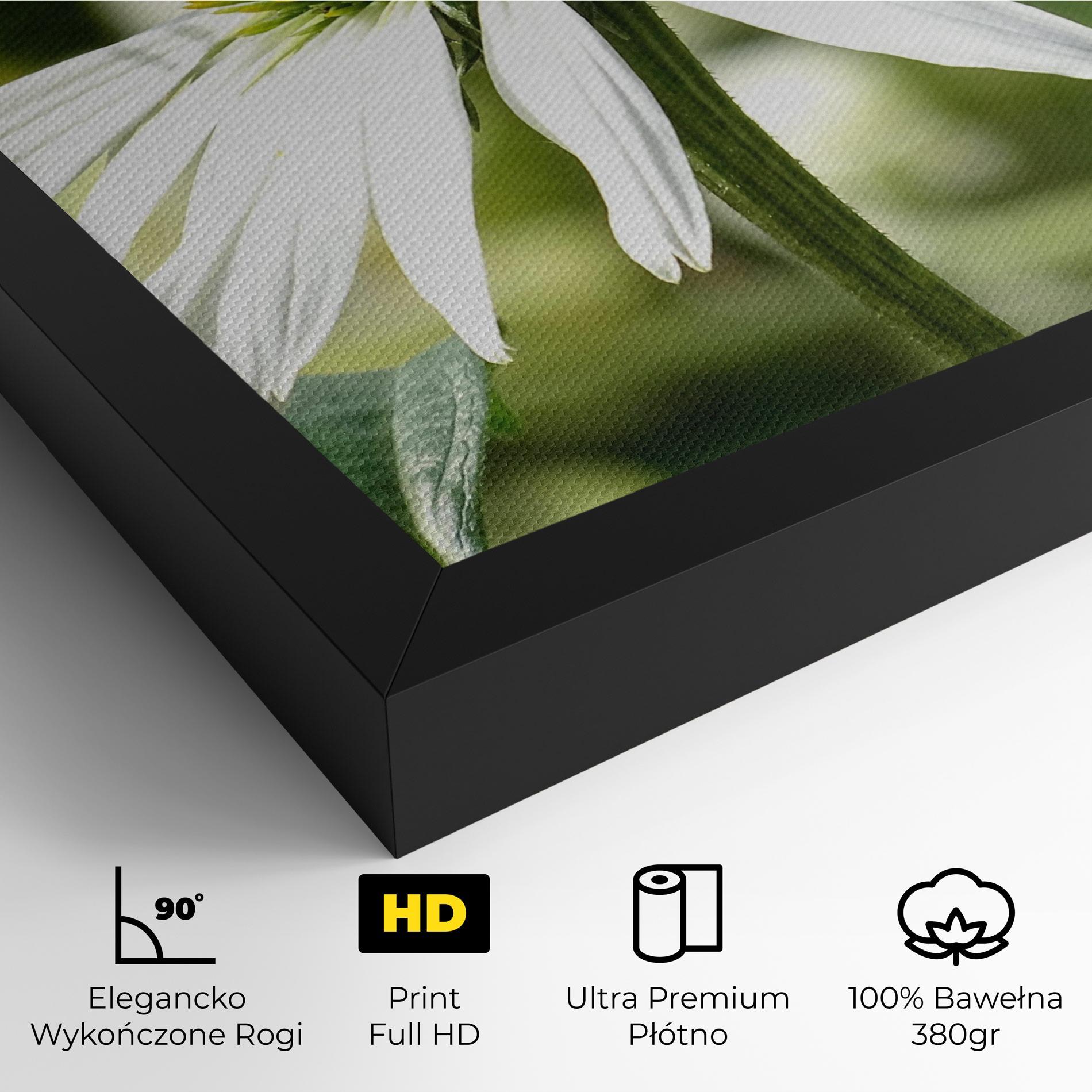 Obraz na Płótnie Green Daisy mockup 4