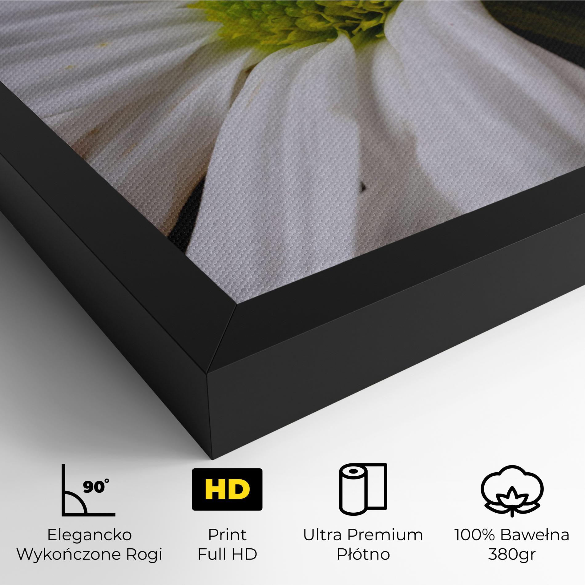 Obraz na Płótnie Green Middle Daisy mockup 4