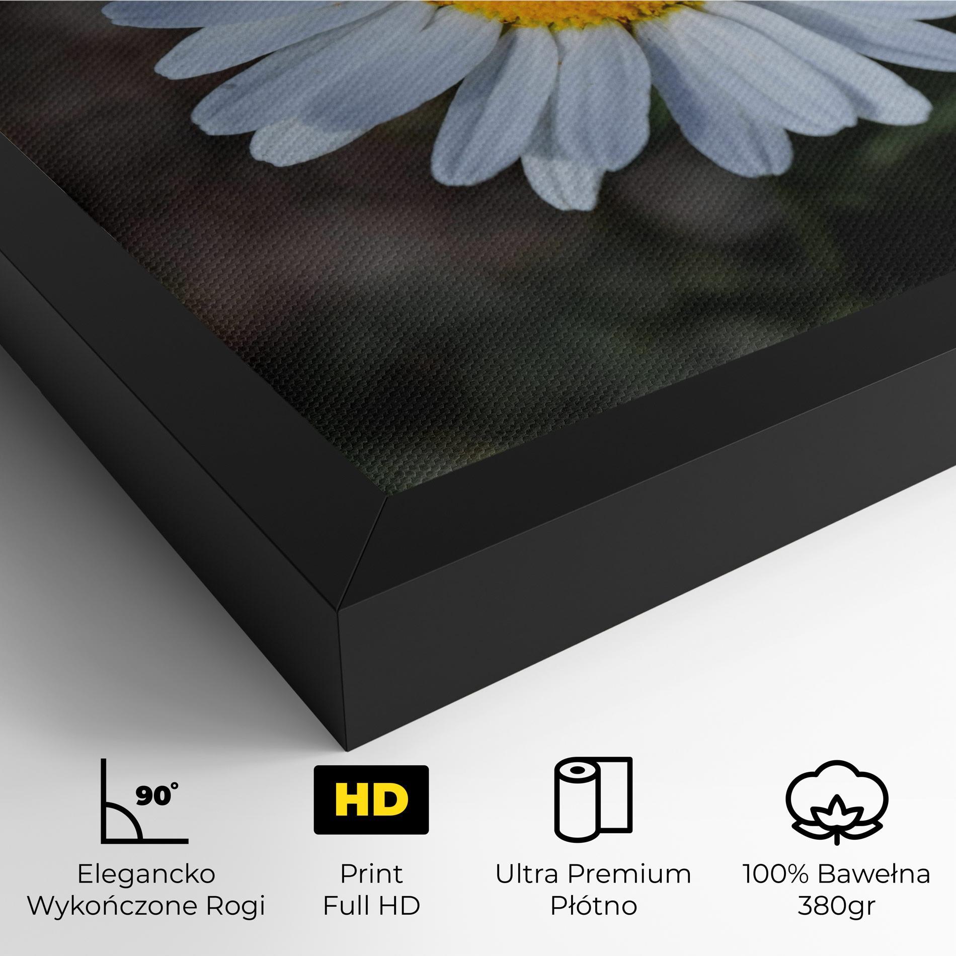 Obraz na Płótnie Strong Yellow Daisy mockup 4
