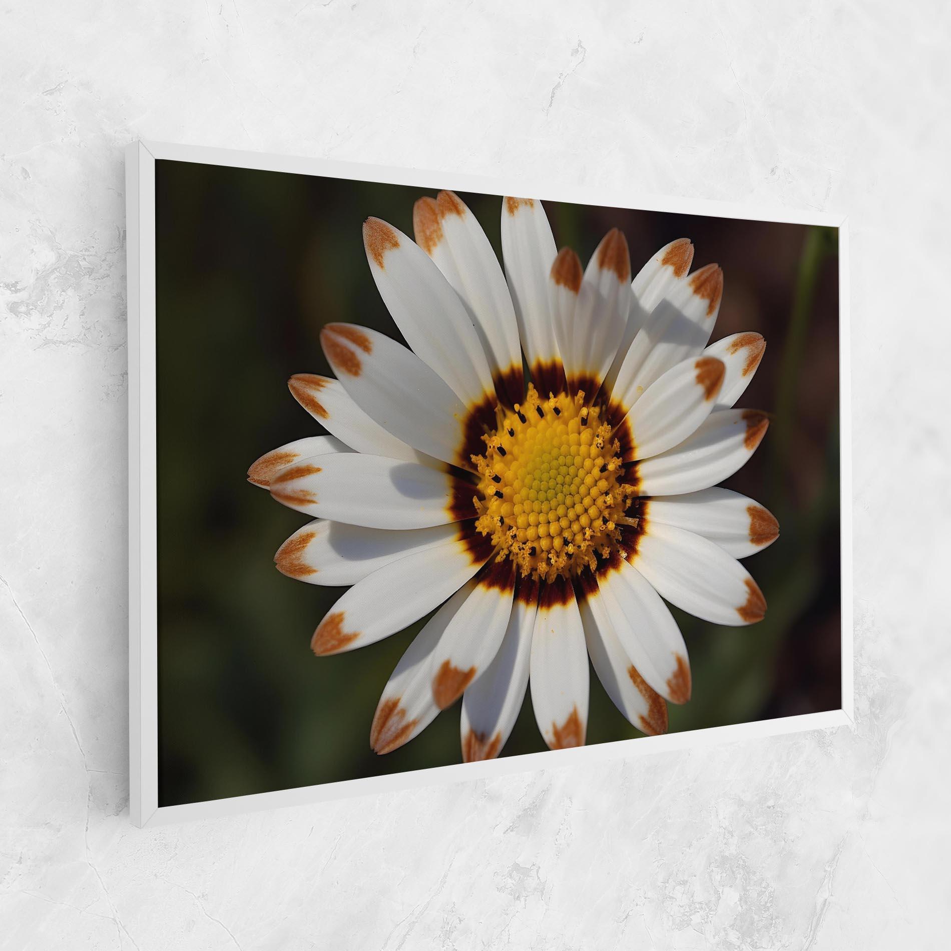Obraz na Płótnie White Brown Daisy mockup 1