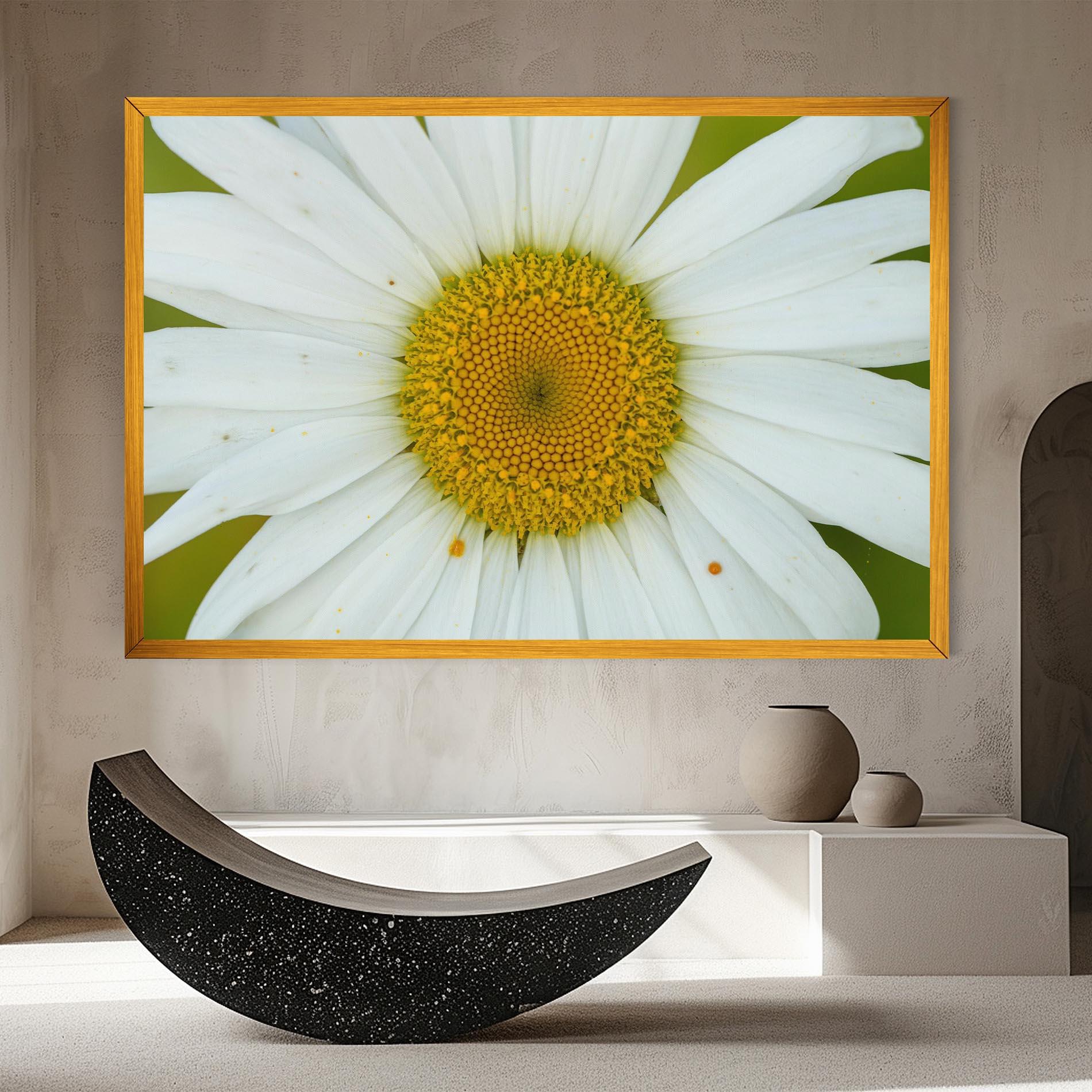 Obraz na Płótnie Daisy Close Up mockup 8