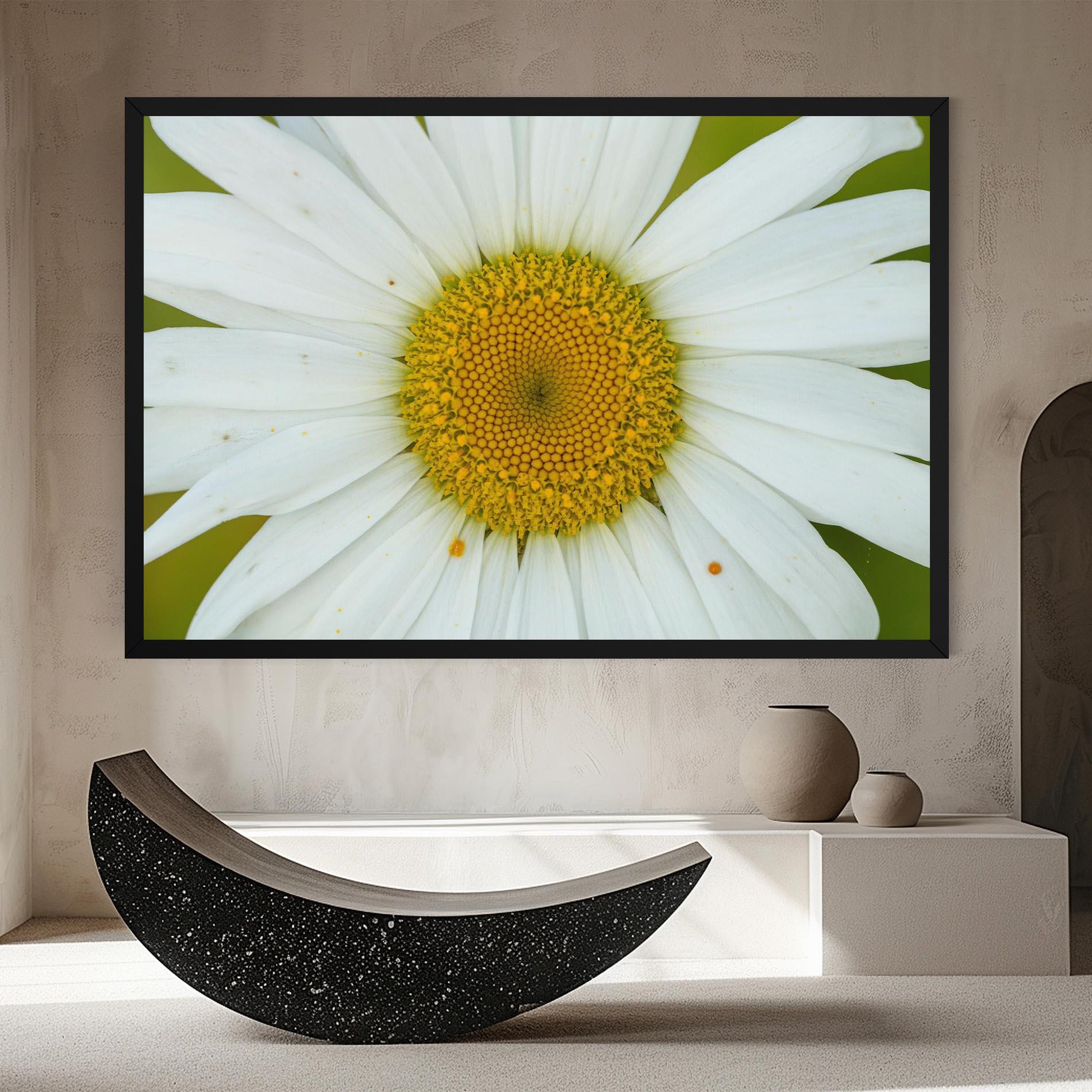 Obraz na Płótnie Daisy Close Up mockup 8