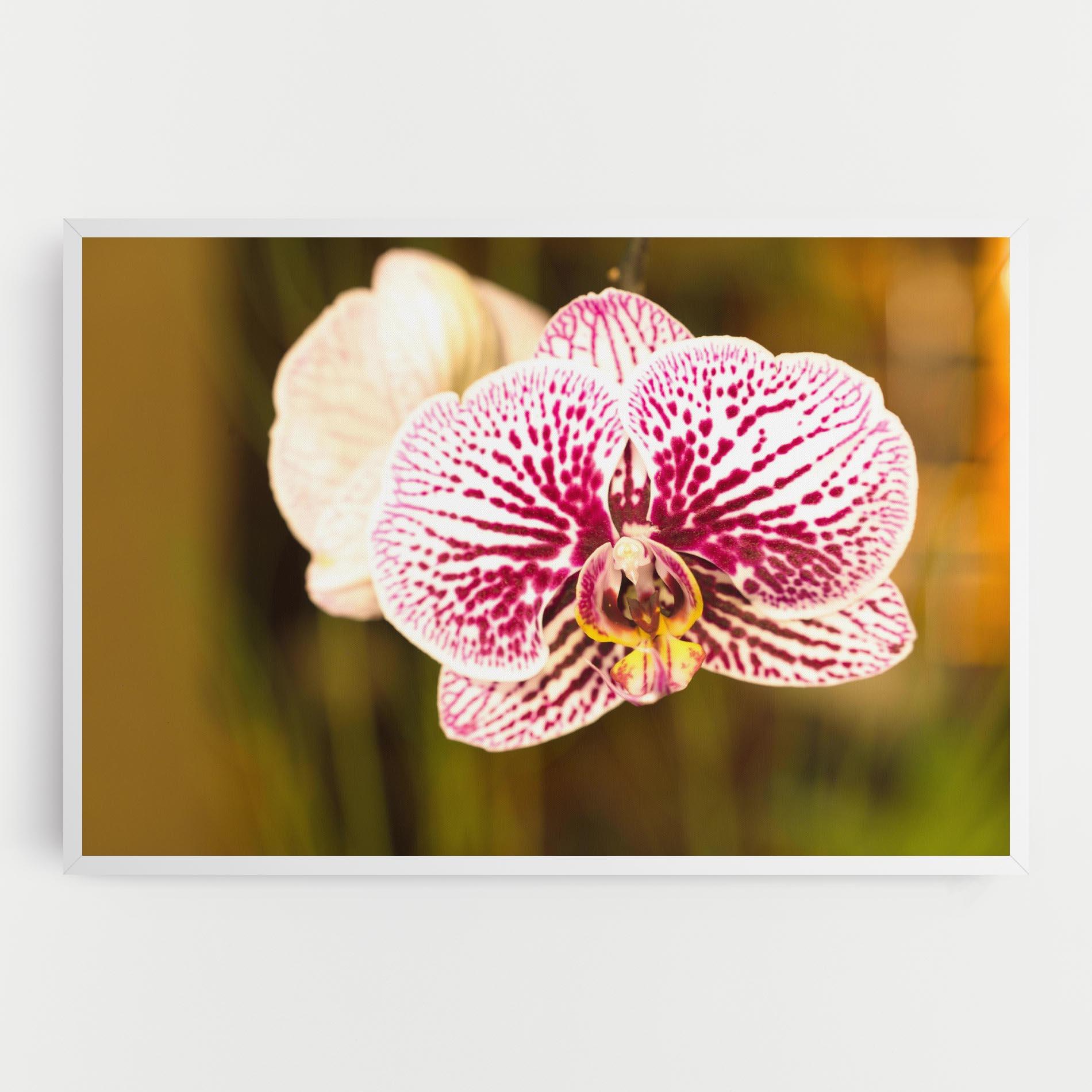 Obraz na Płótnie Garden Orchids mockup 0