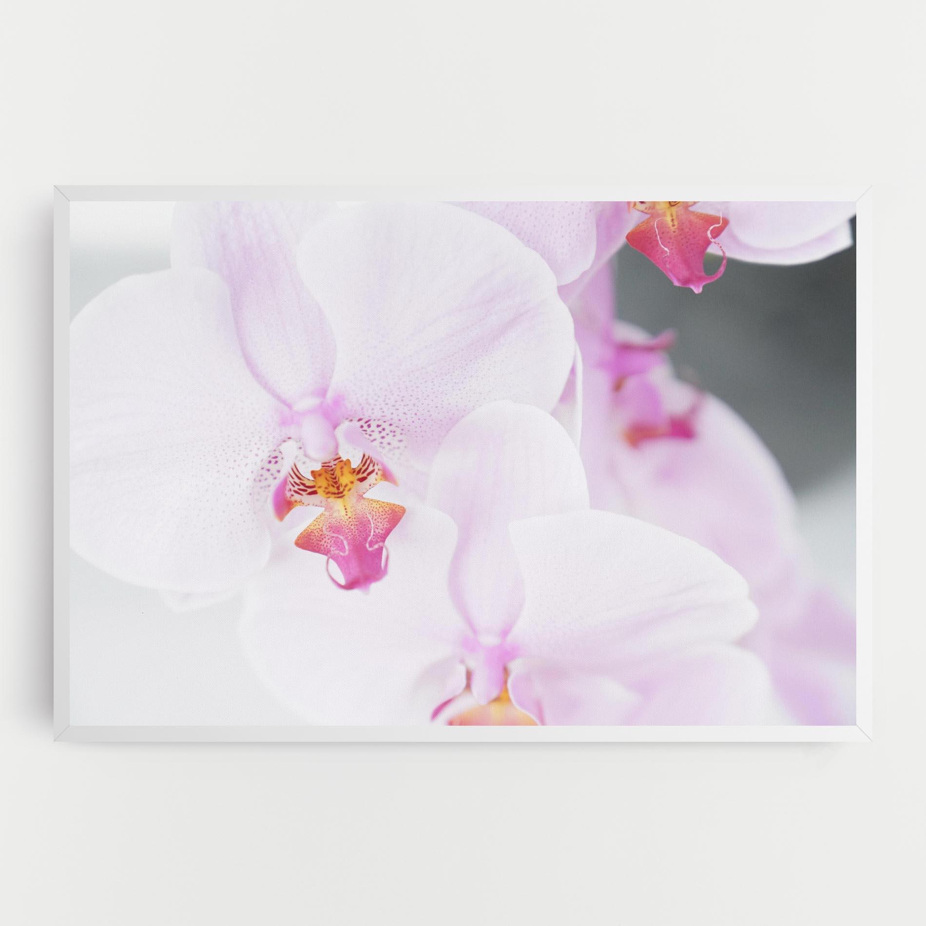 Obraz na Płótnie Light Purple Orchid mockup 0