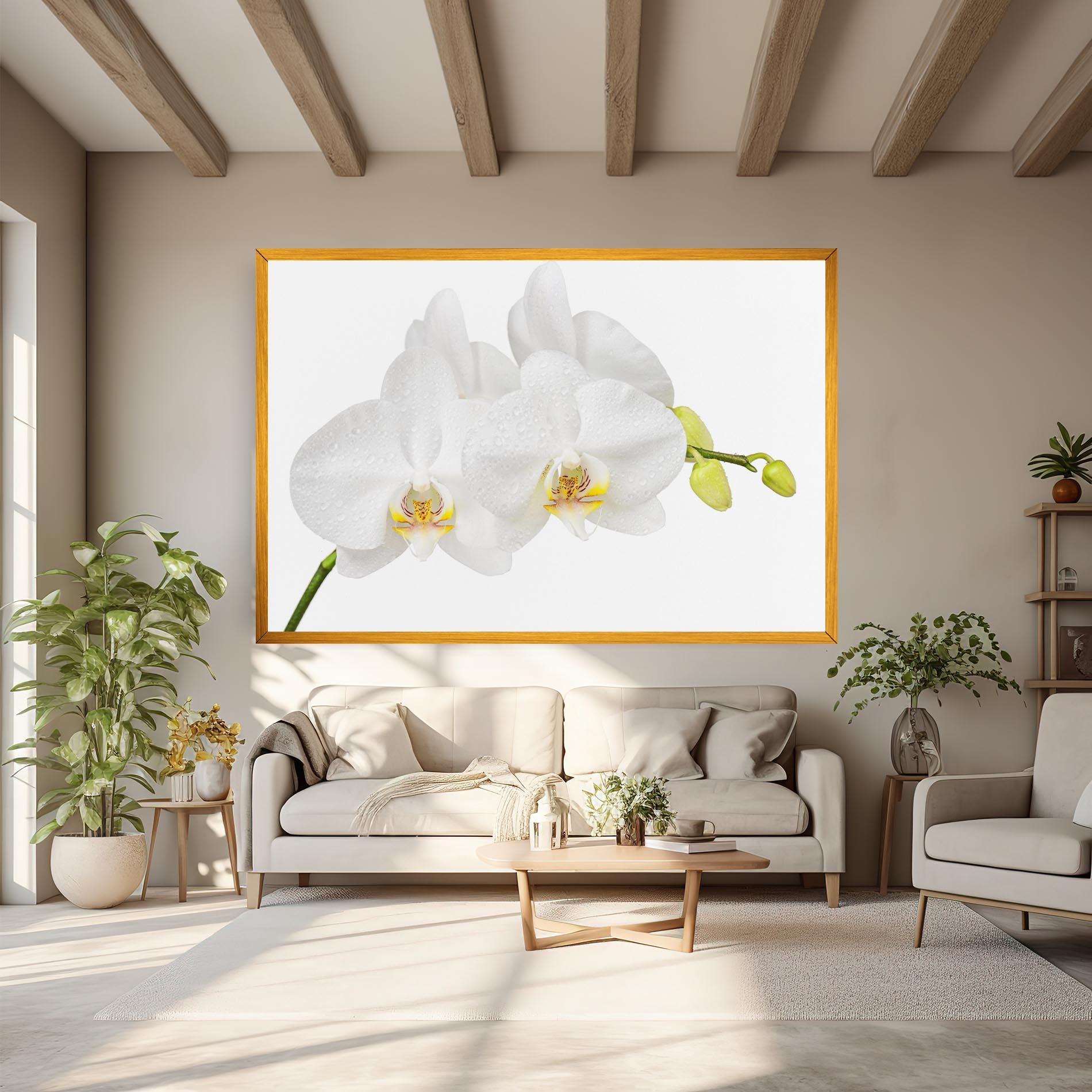 Obraz na Płótnie Orchids On White mockup 6