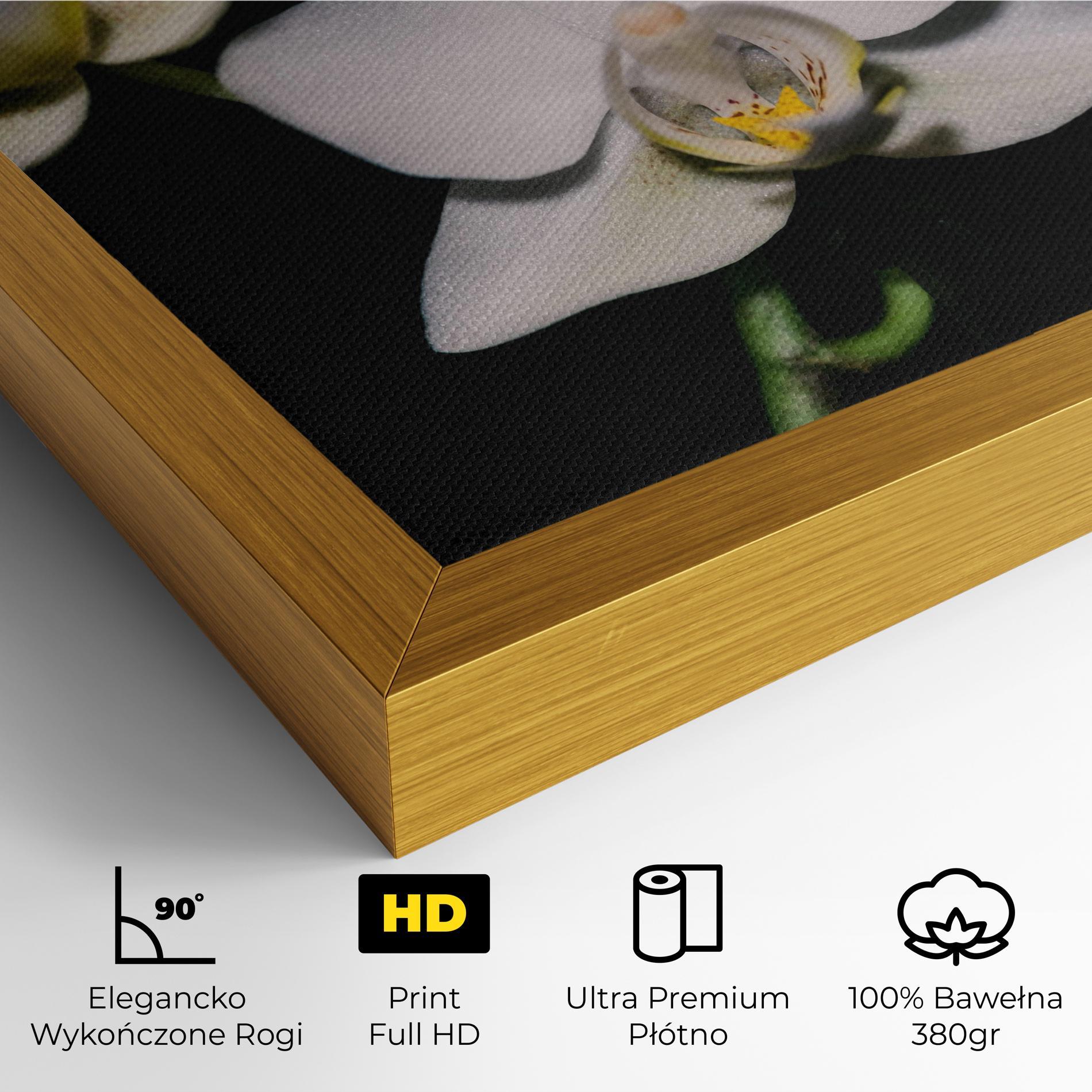 Obraz na Płótnie Orchids On Black mockup 4