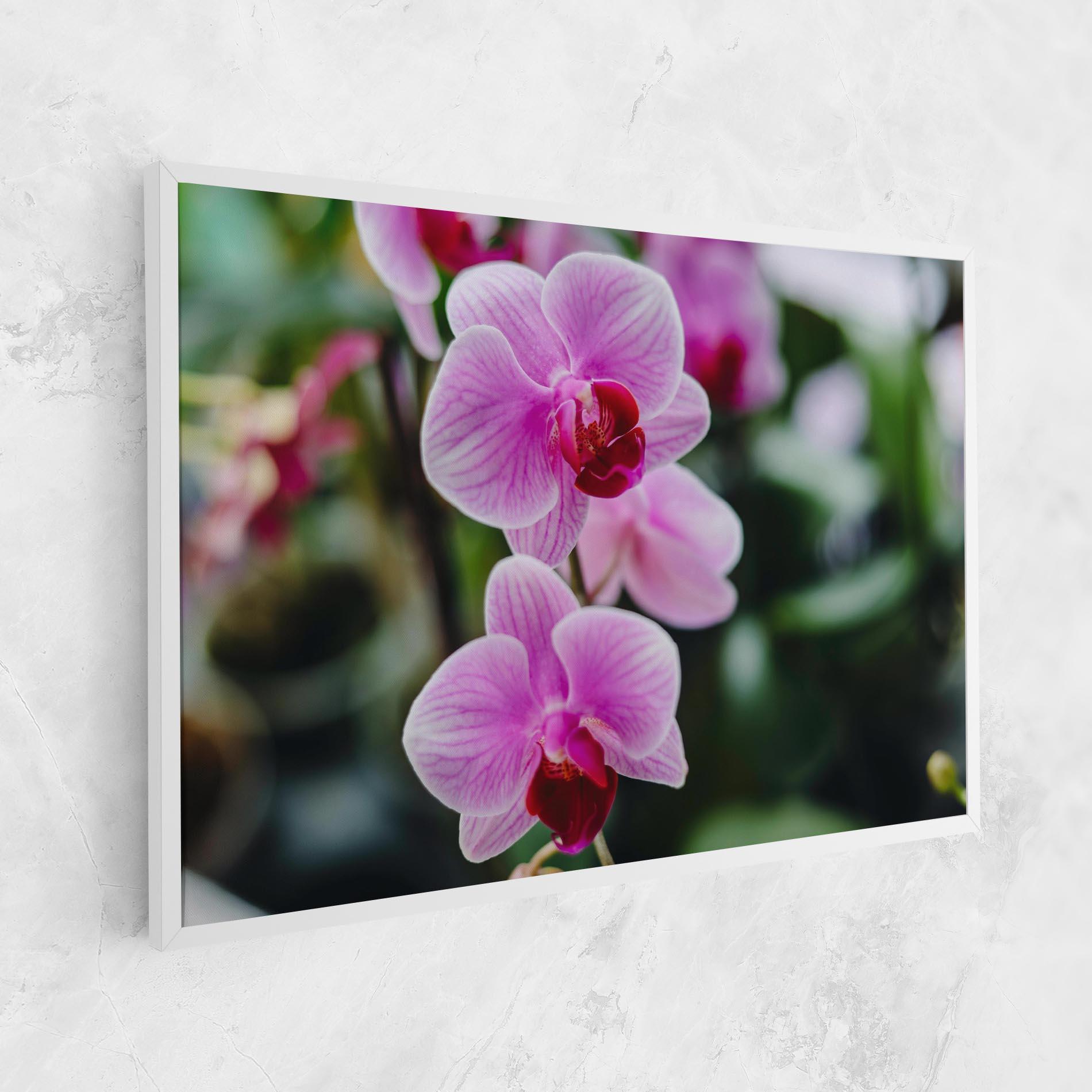 Obraz na Płótnie Garden Purple Orchids mockup 1