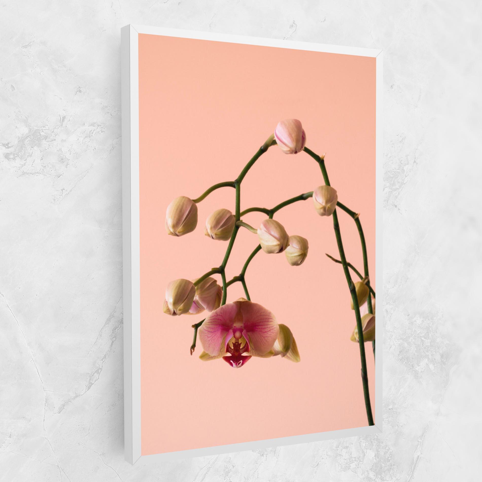 Obraz na Płótnie Orchids On Pink mockup 1