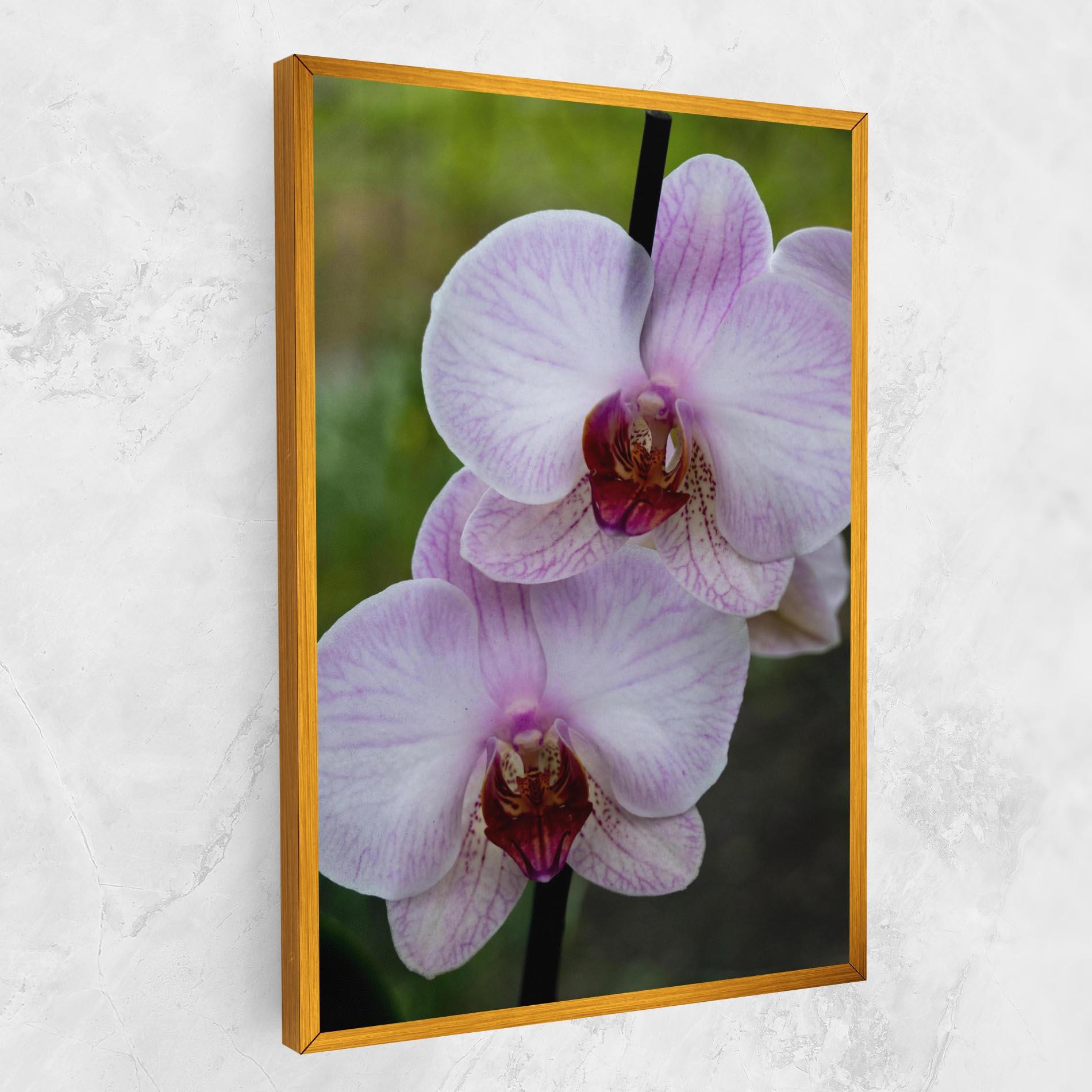 Obraz na Płótnie Garden Light Purple Orchid mockup 1