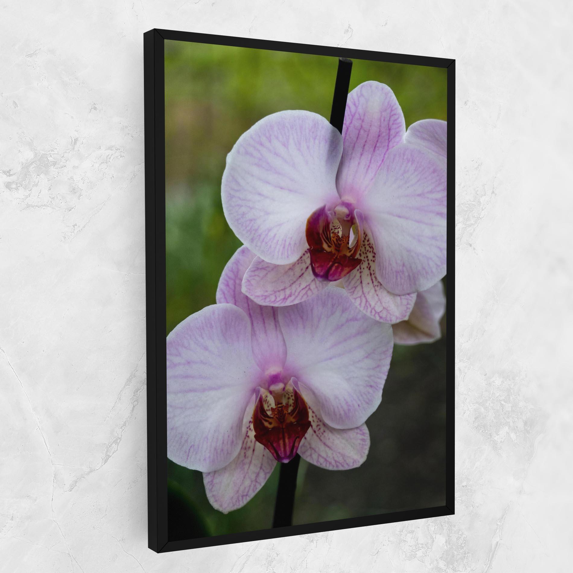 Obraz na Płótnie Garden Light Purple Orchid mockup 1