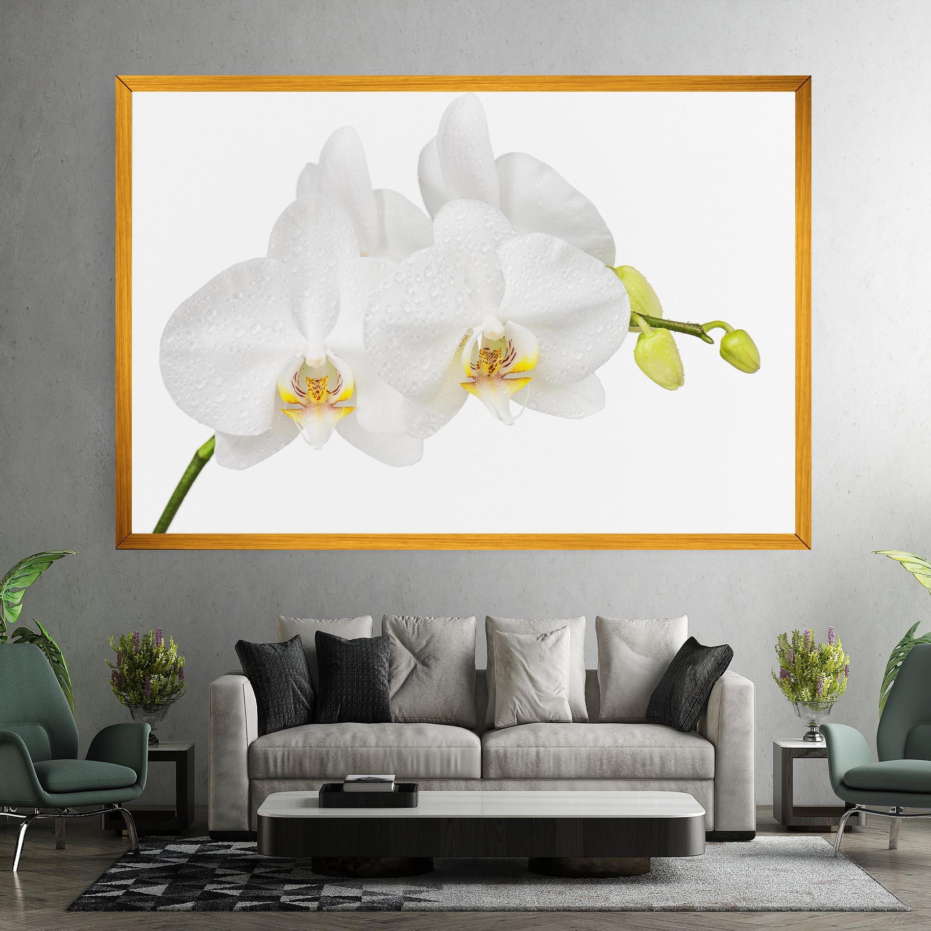 Obraz na Płótnie Orchids On White mockup 7