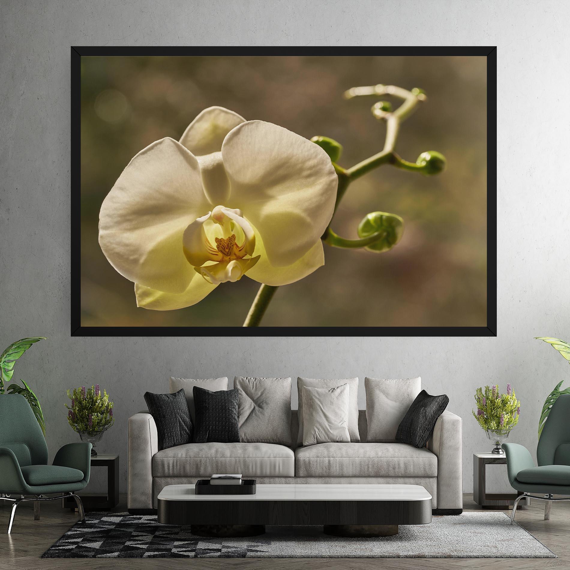 Obraz na Płótnie Pastel Yellow Orchid In Garden mockup 7