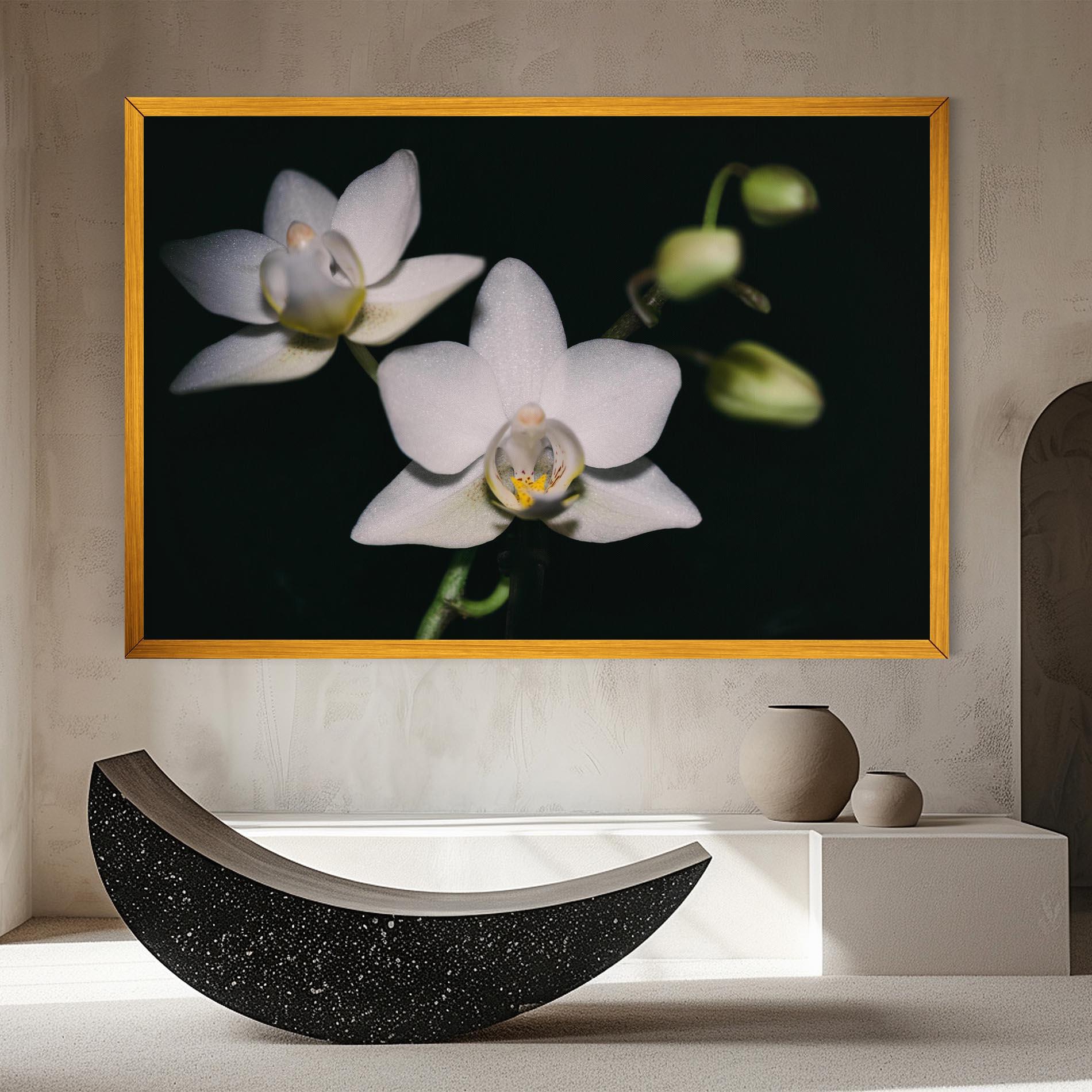 Obraz na Płótnie Orchids On Black mockup 8