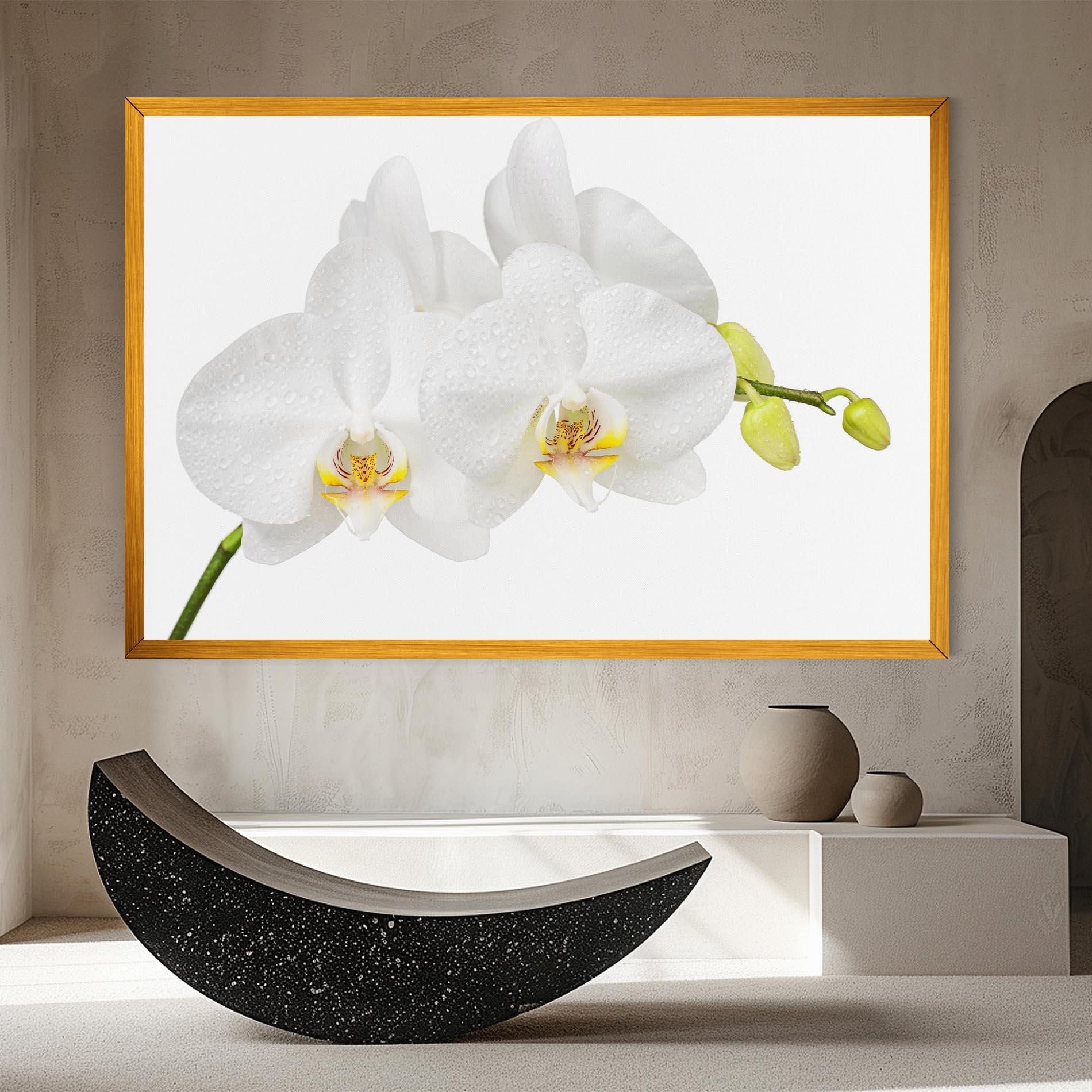 Obraz na Płótnie Orchids On White mockup 8