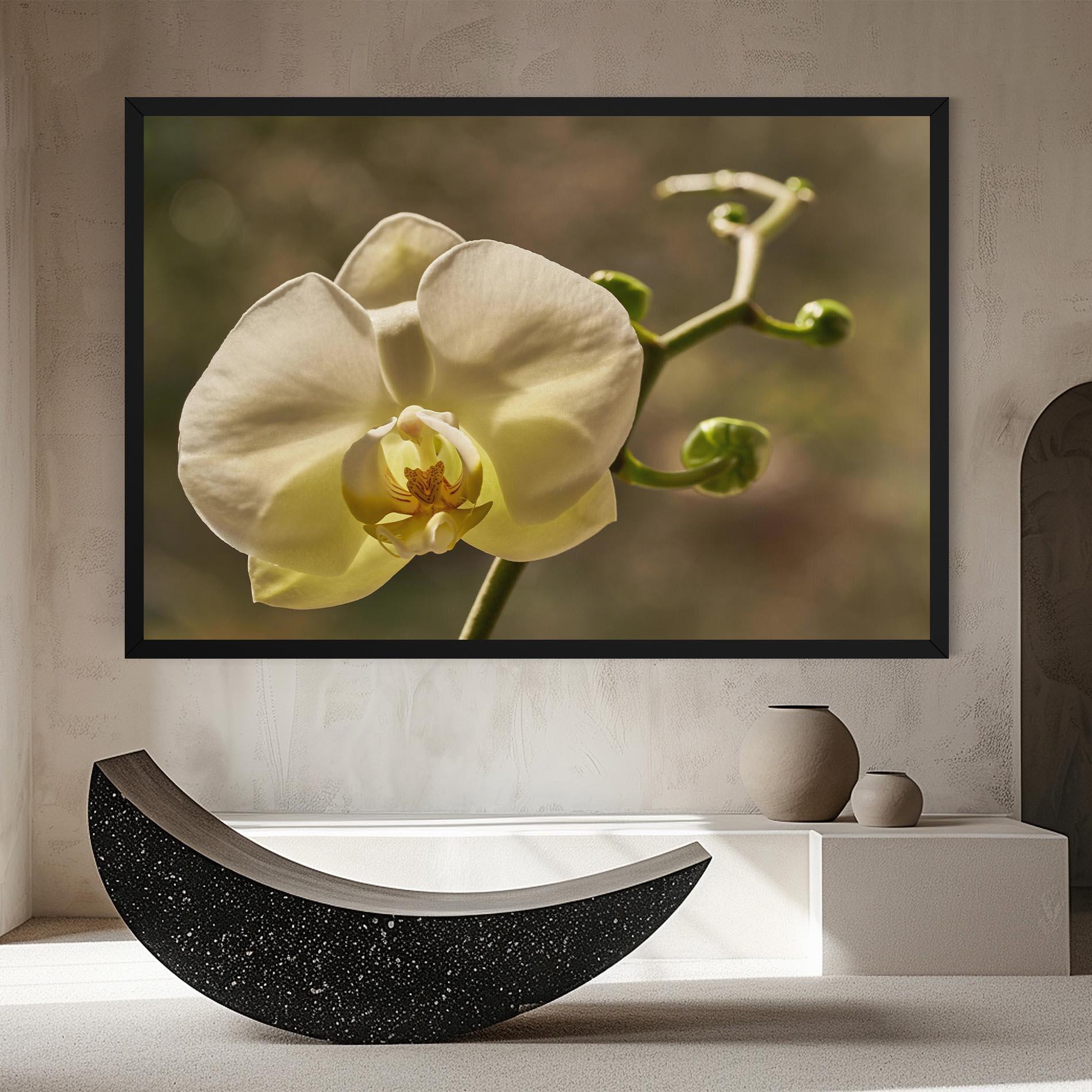 Obraz na Płótnie Pastel Yellow Orchid In Garden mockup 8