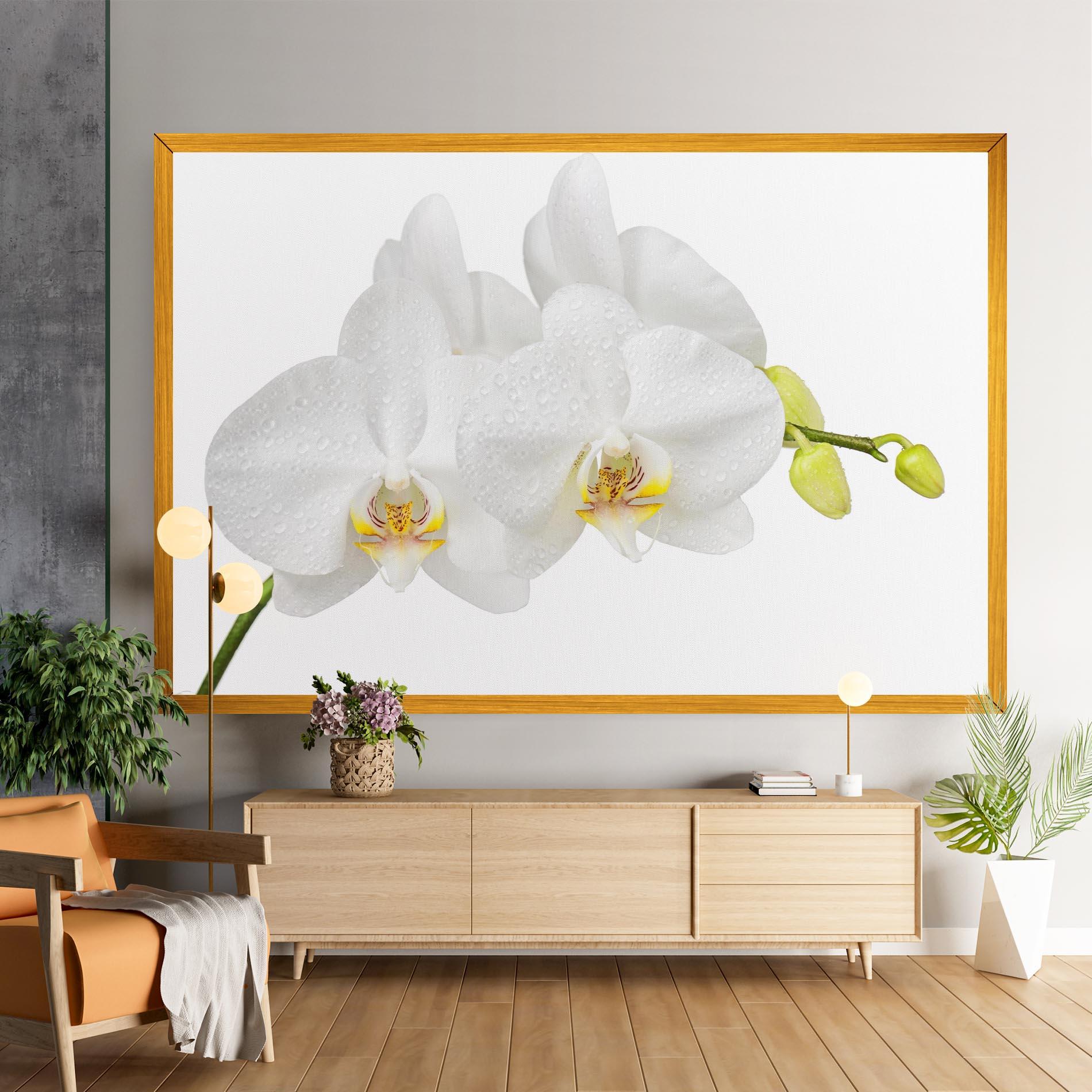 Obraz na Płótnie Orchids On White mockup 9