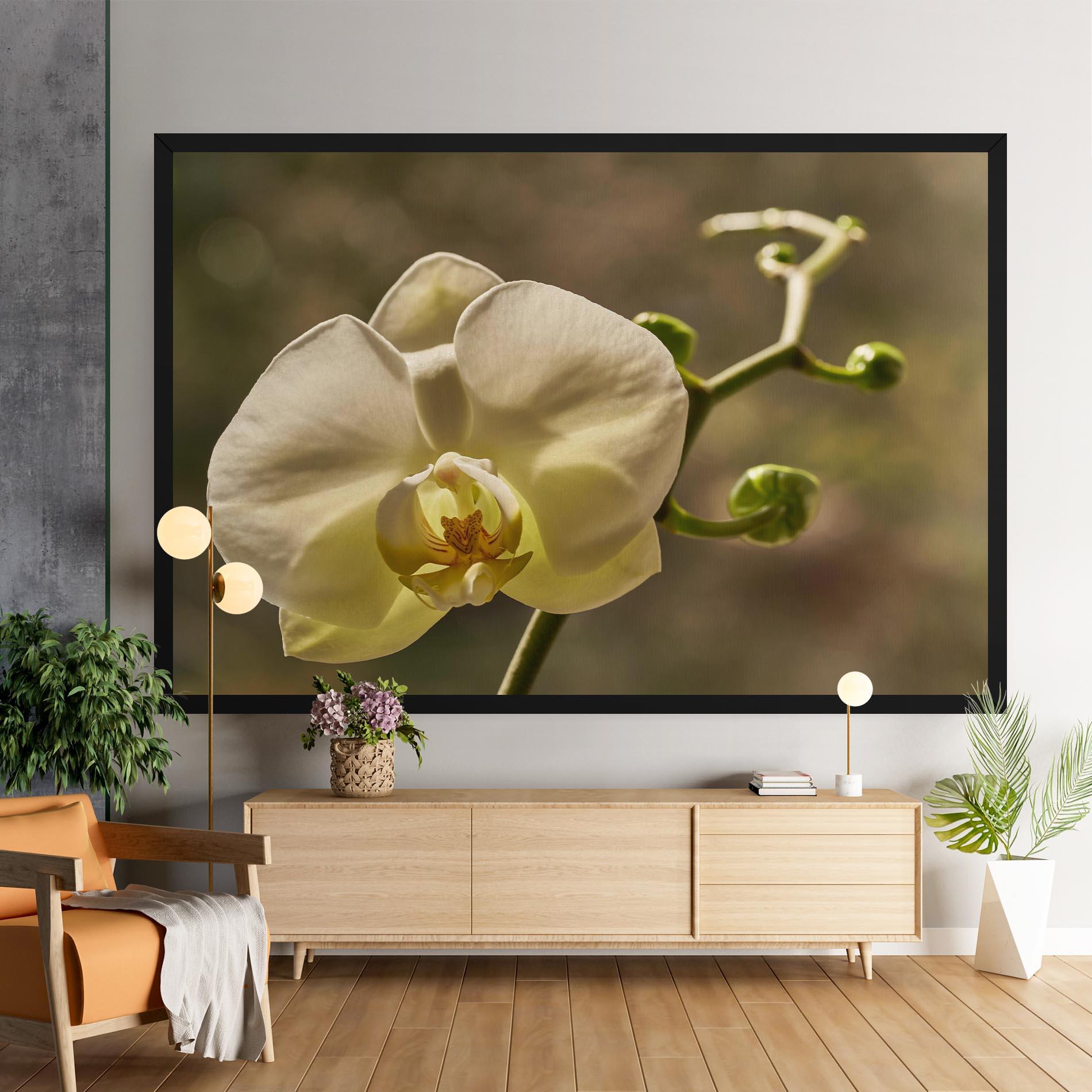 Obraz na Płótnie Pastel Yellow Orchid In Garden mockup 9