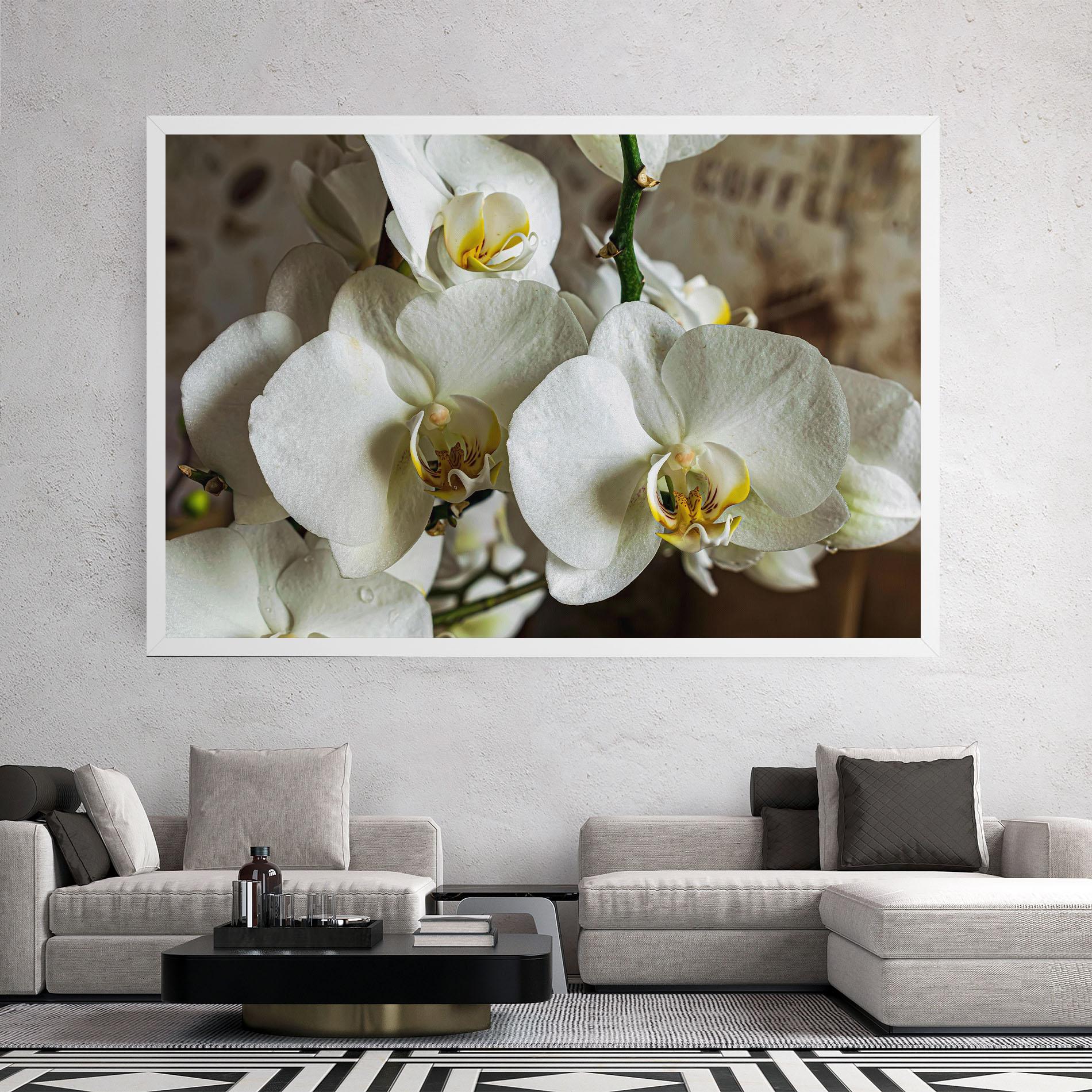 Obraz na Płótnie Beautiful White Orchids mockup 2