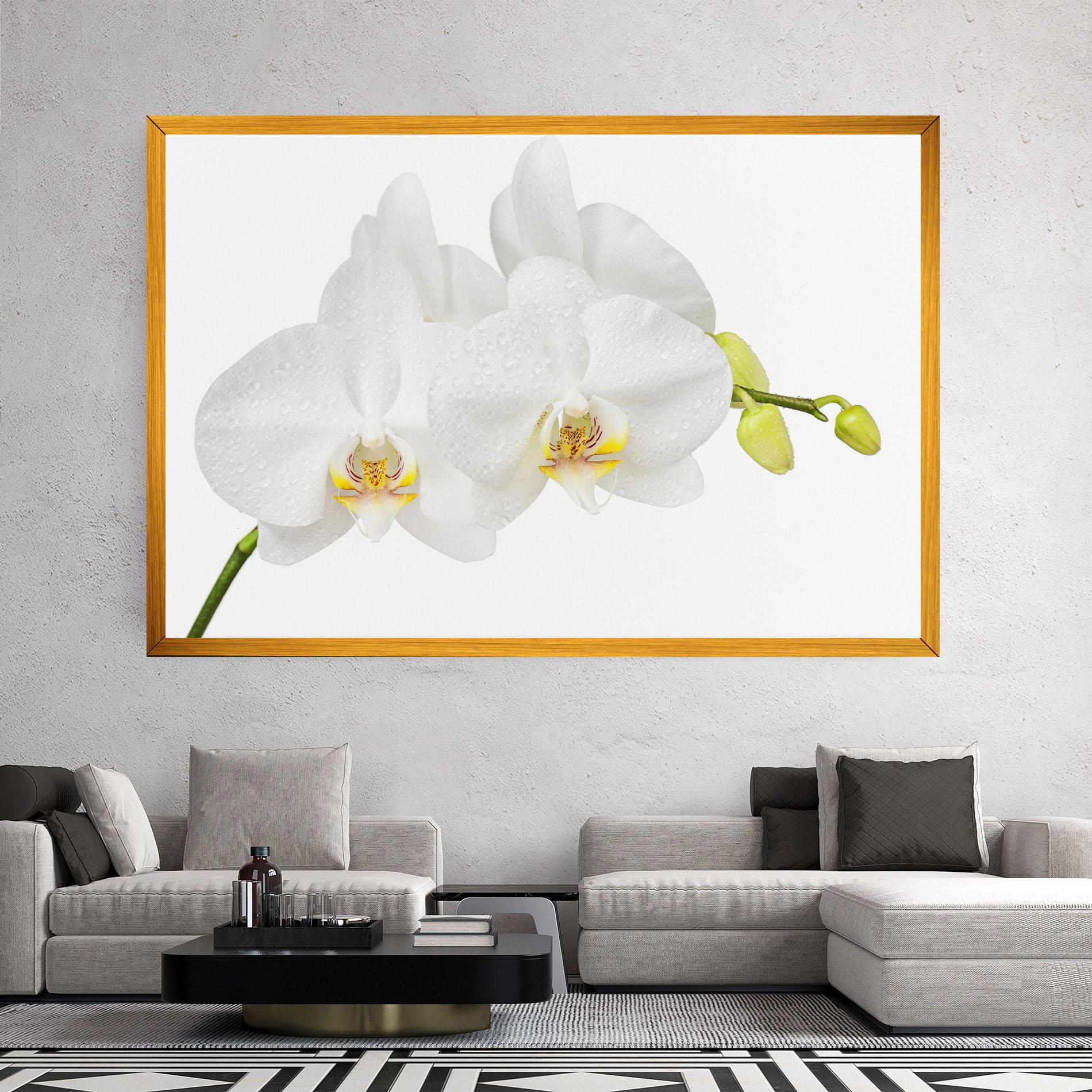 Obraz na Płótnie Orchids On White mockup 2