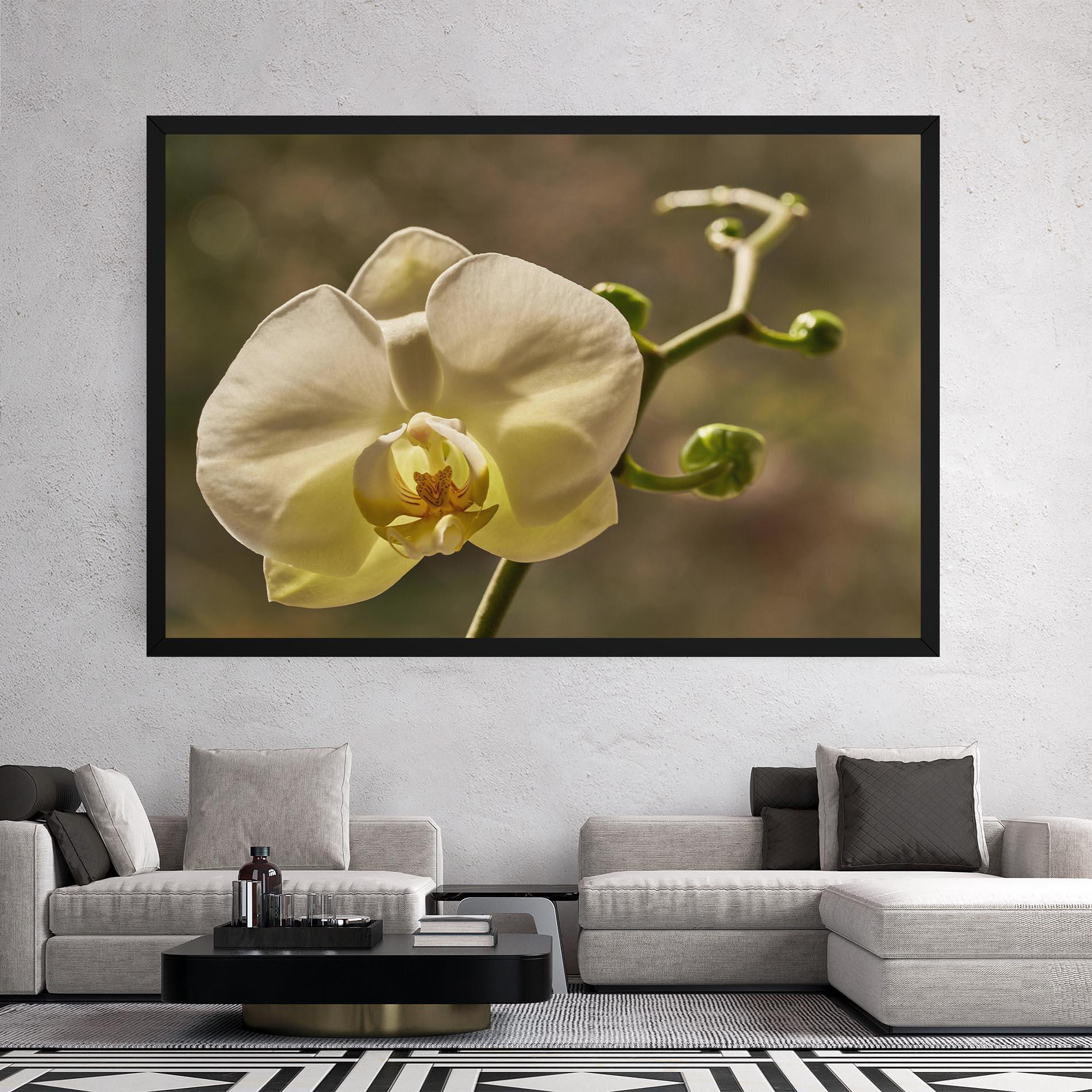 Obraz na Płótnie Pastel Yellow Orchid In Garden mockup 2