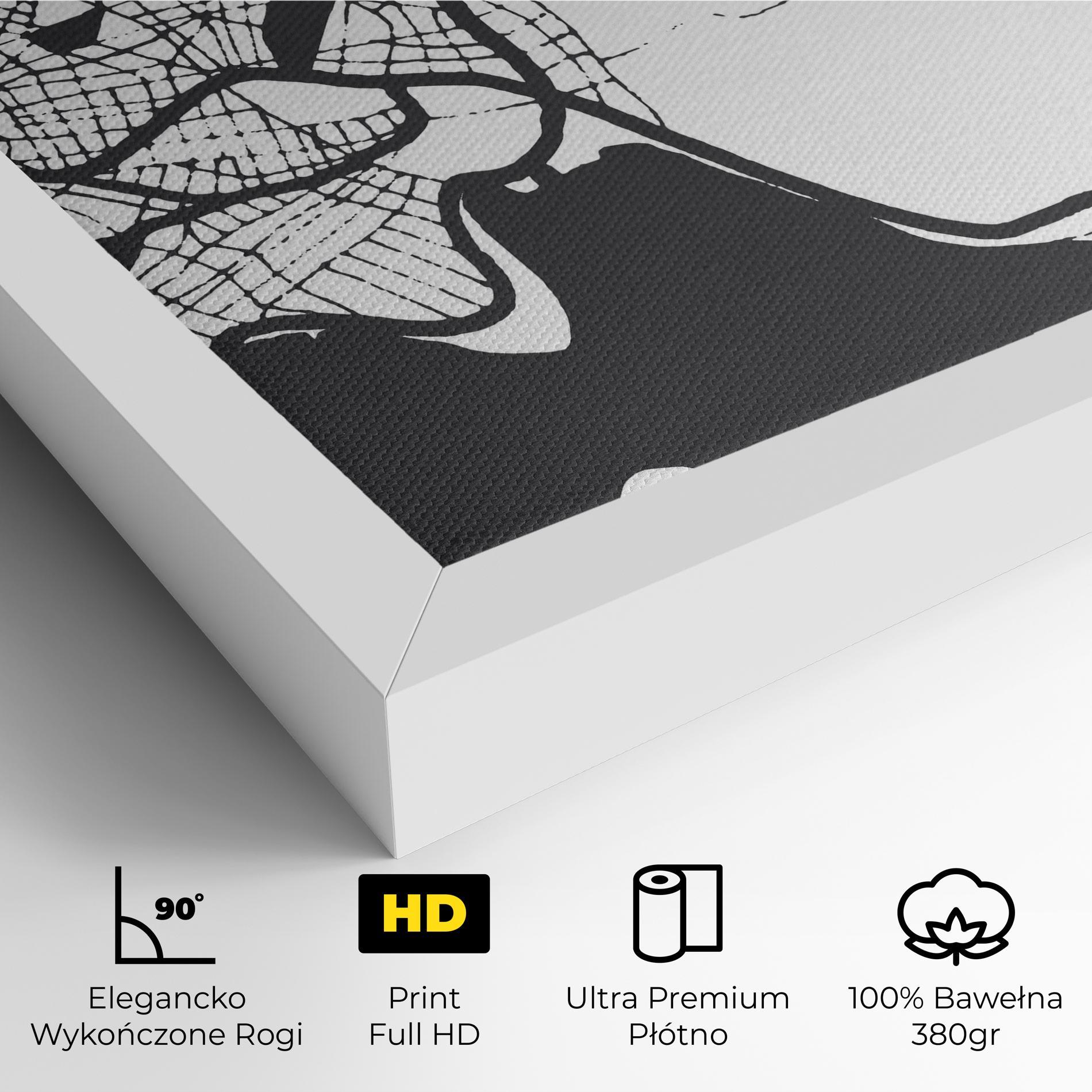 Obraz na Płótnie Chalcis Map mockup 4