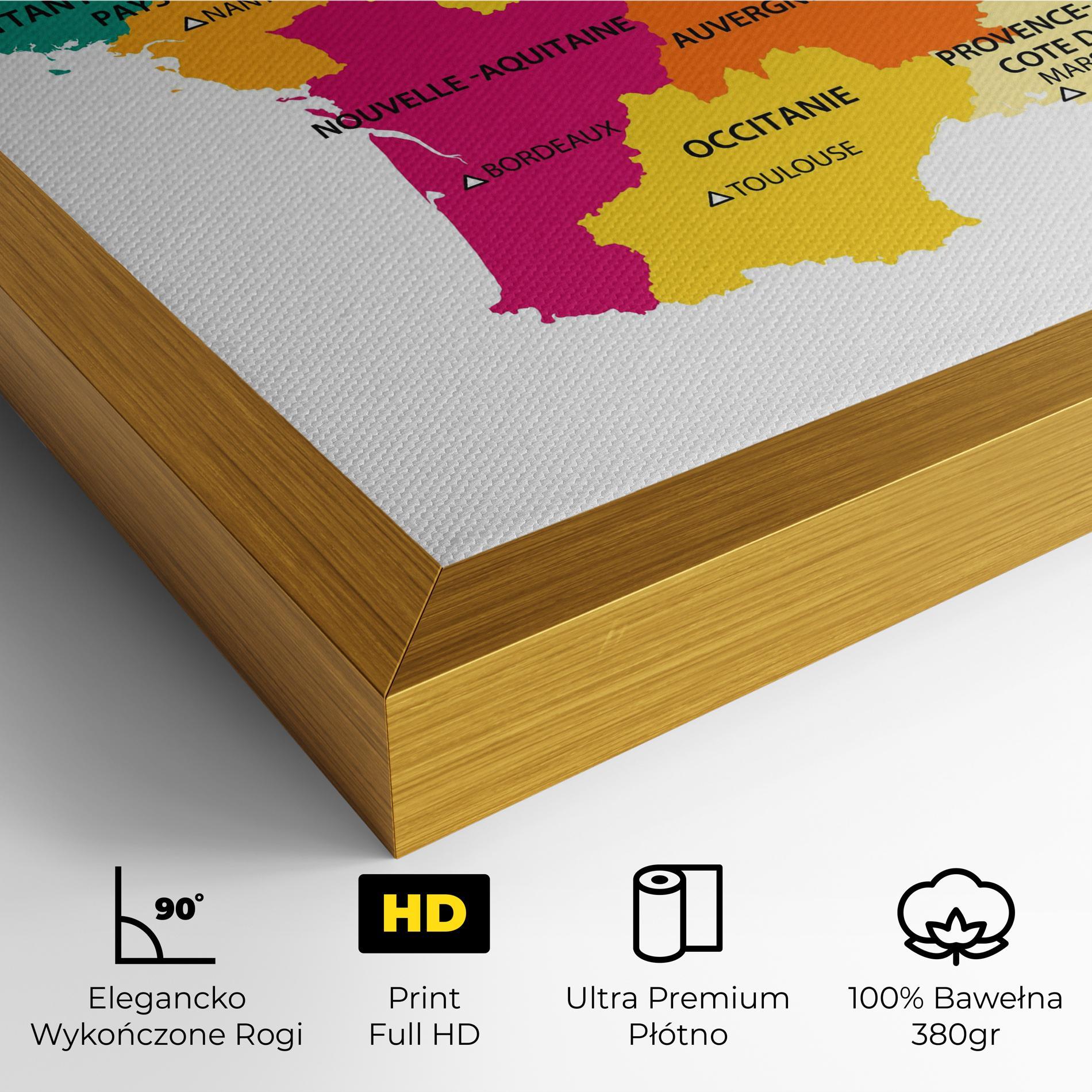 Obraz na Płótnie France Color Map mockup 4