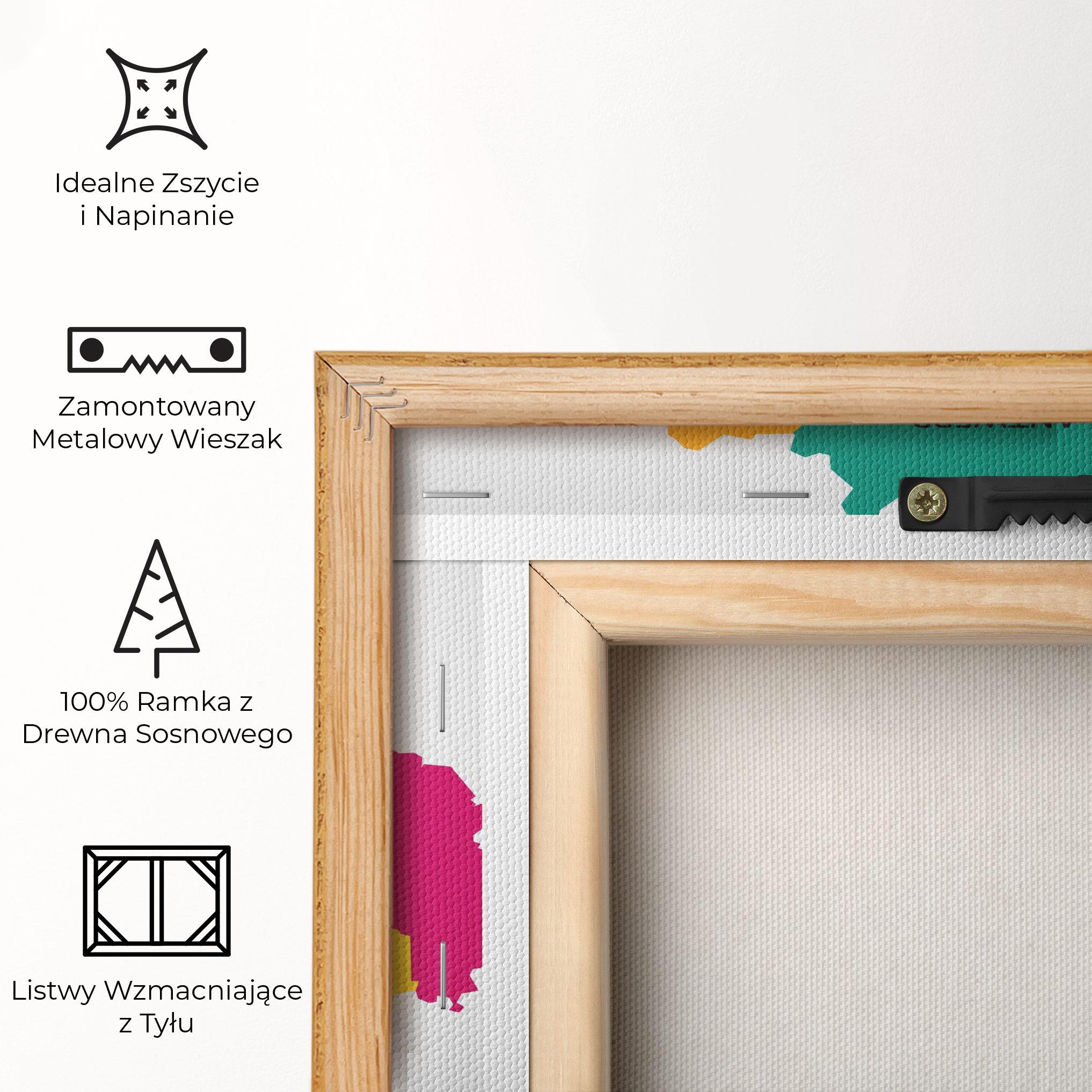 Obraz na Płótnie Belgium Color Map mockup 5