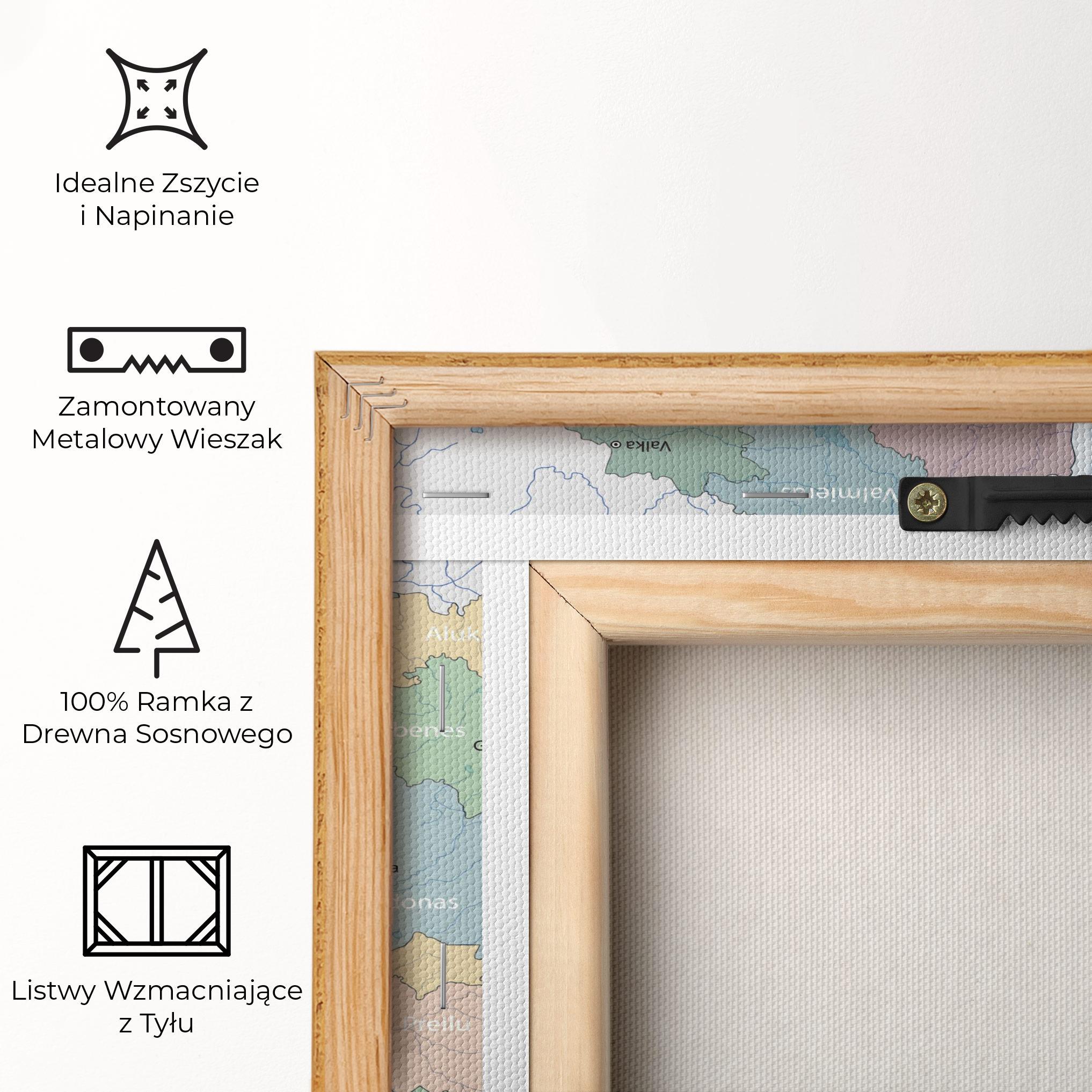 Obraz na Płótnie Latvia Color Map mockup 5