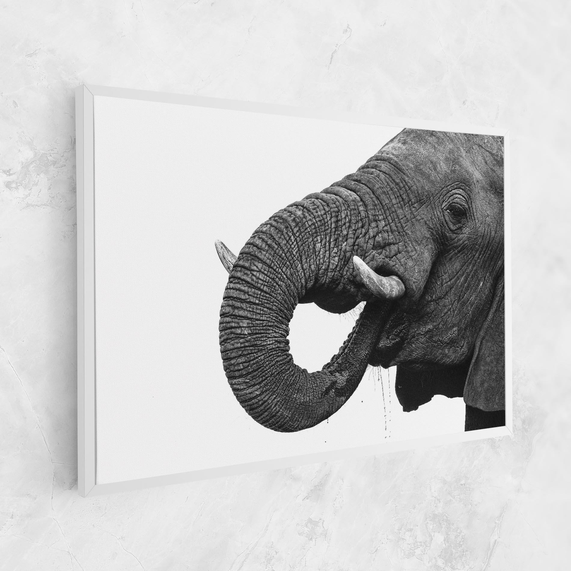 Obraz na Płótnie Elephant Drinking mockup 1