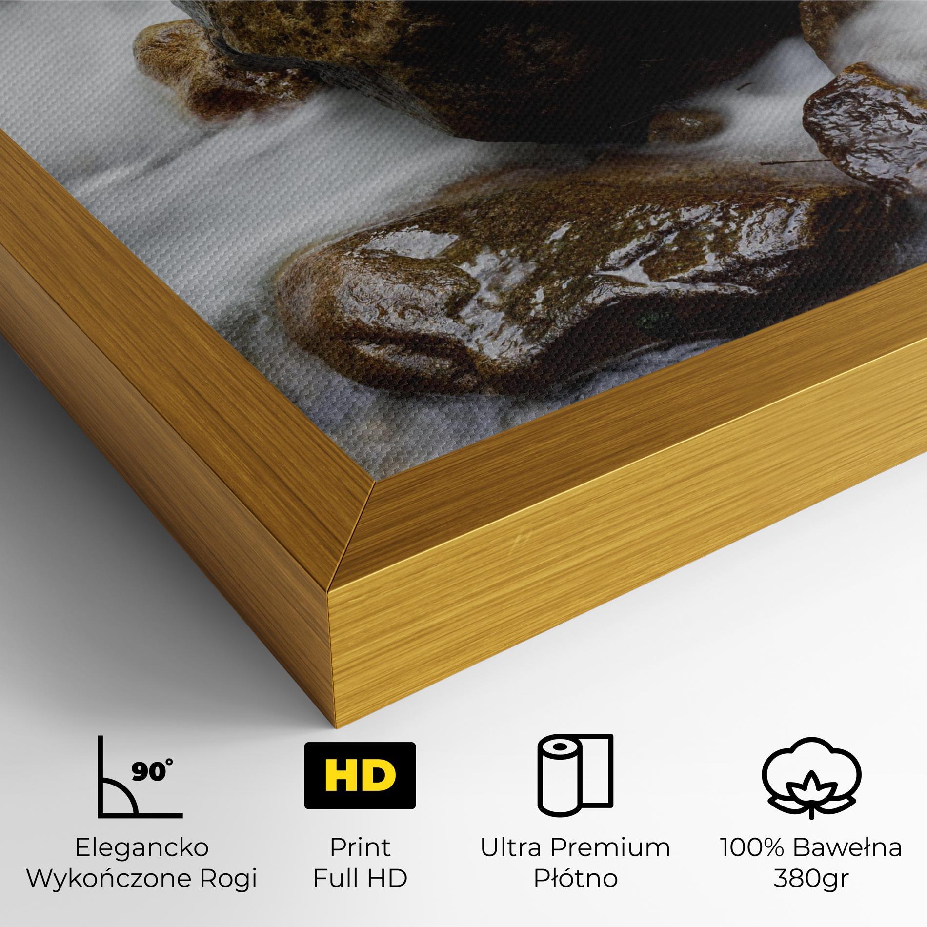 Obraz na Płótnie Shiny Rocks Waterfall mockup 4