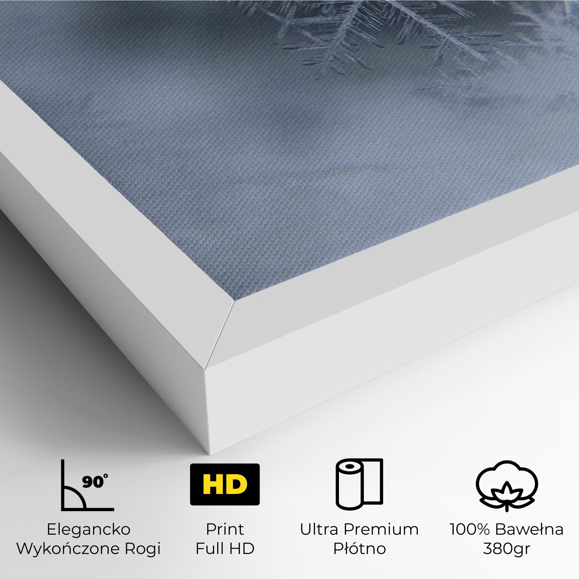 Obraz na Płótnie Pretty Snowflake mockup 4